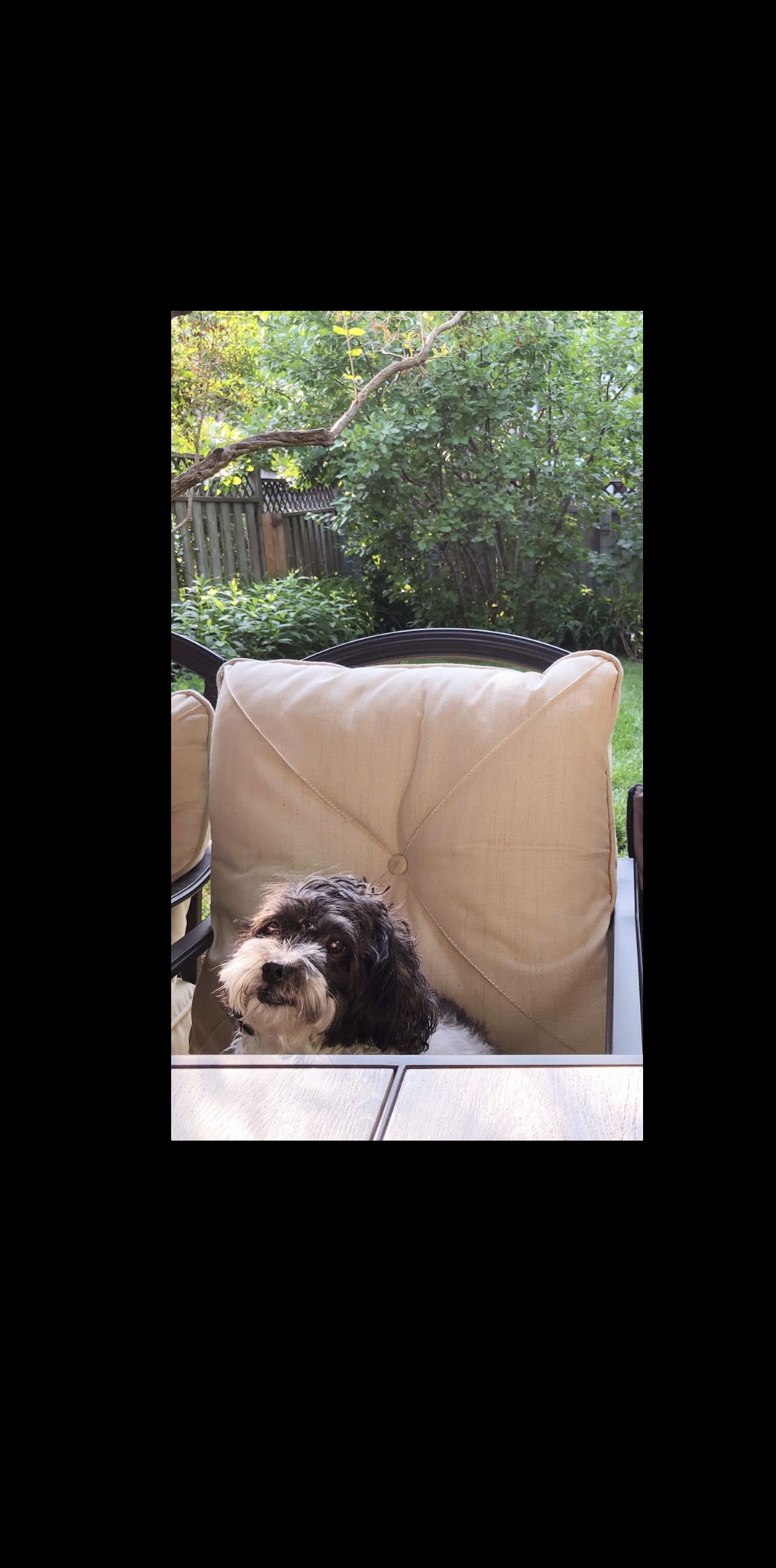 OSCAR
