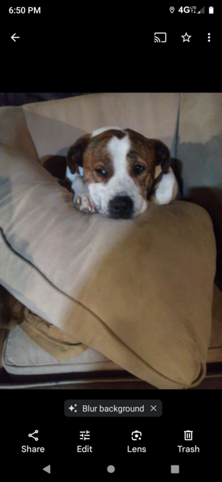 Jaxson
