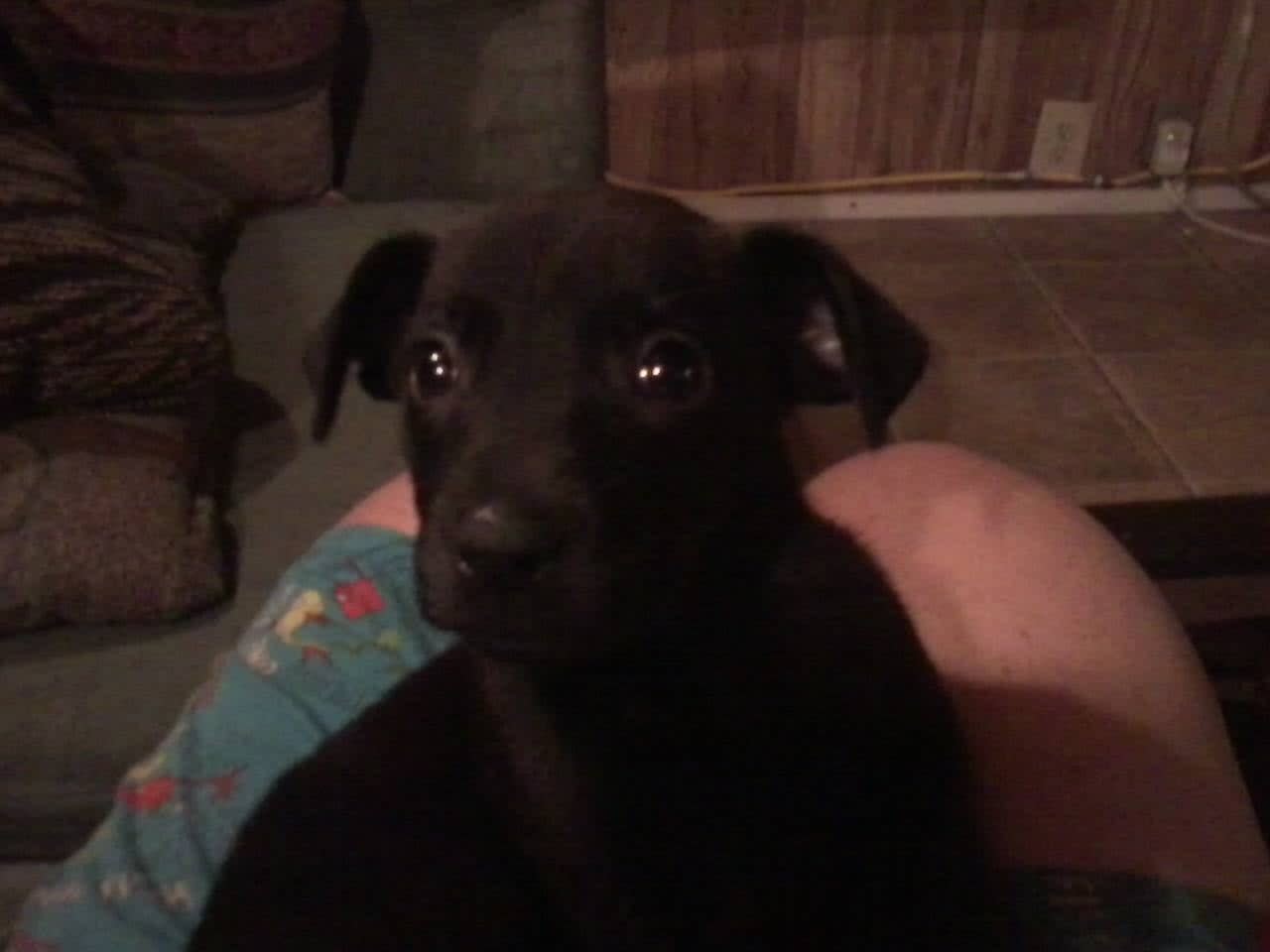 Shandi Marie Shandi Marie