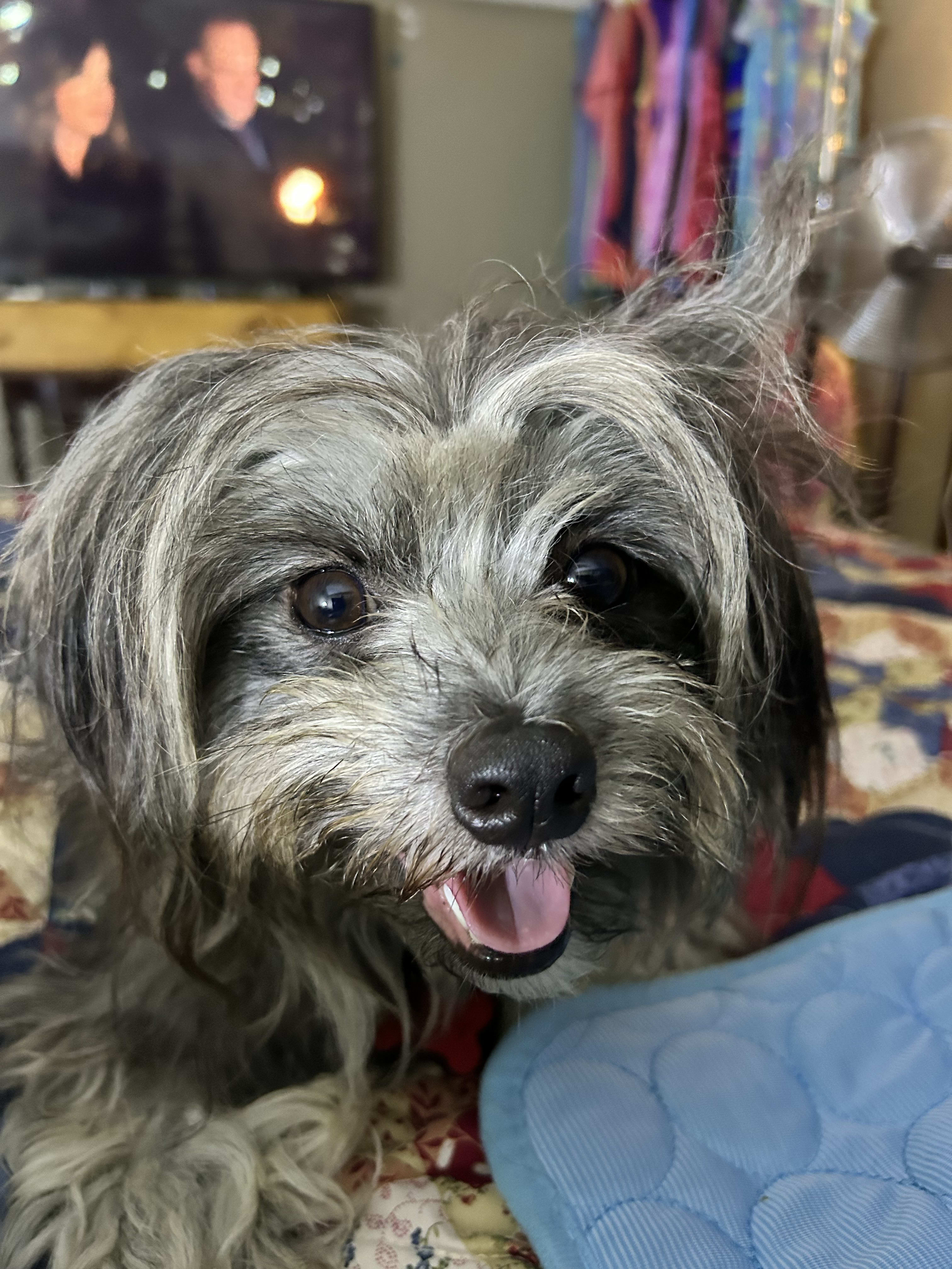 Billy