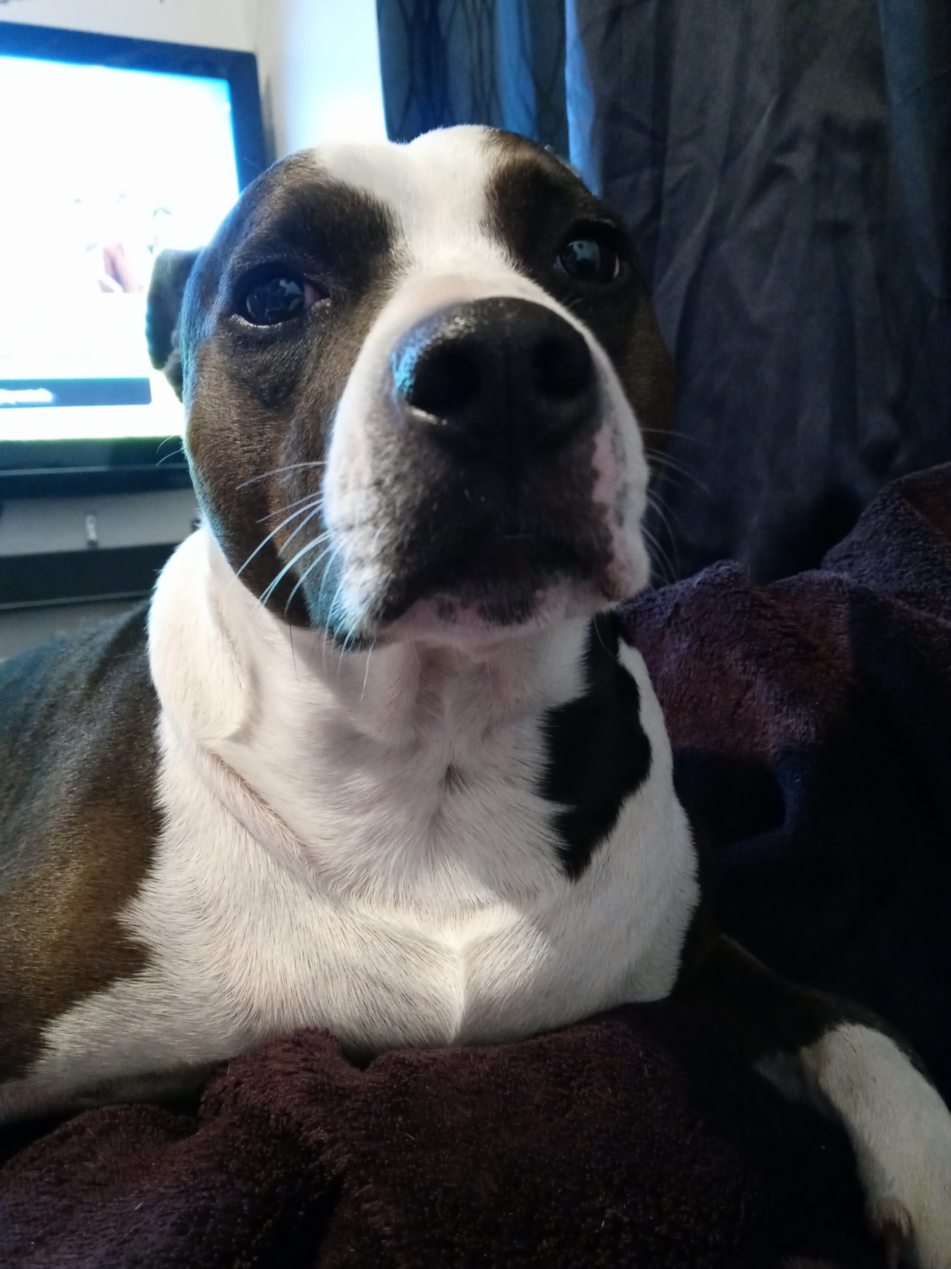 Tux