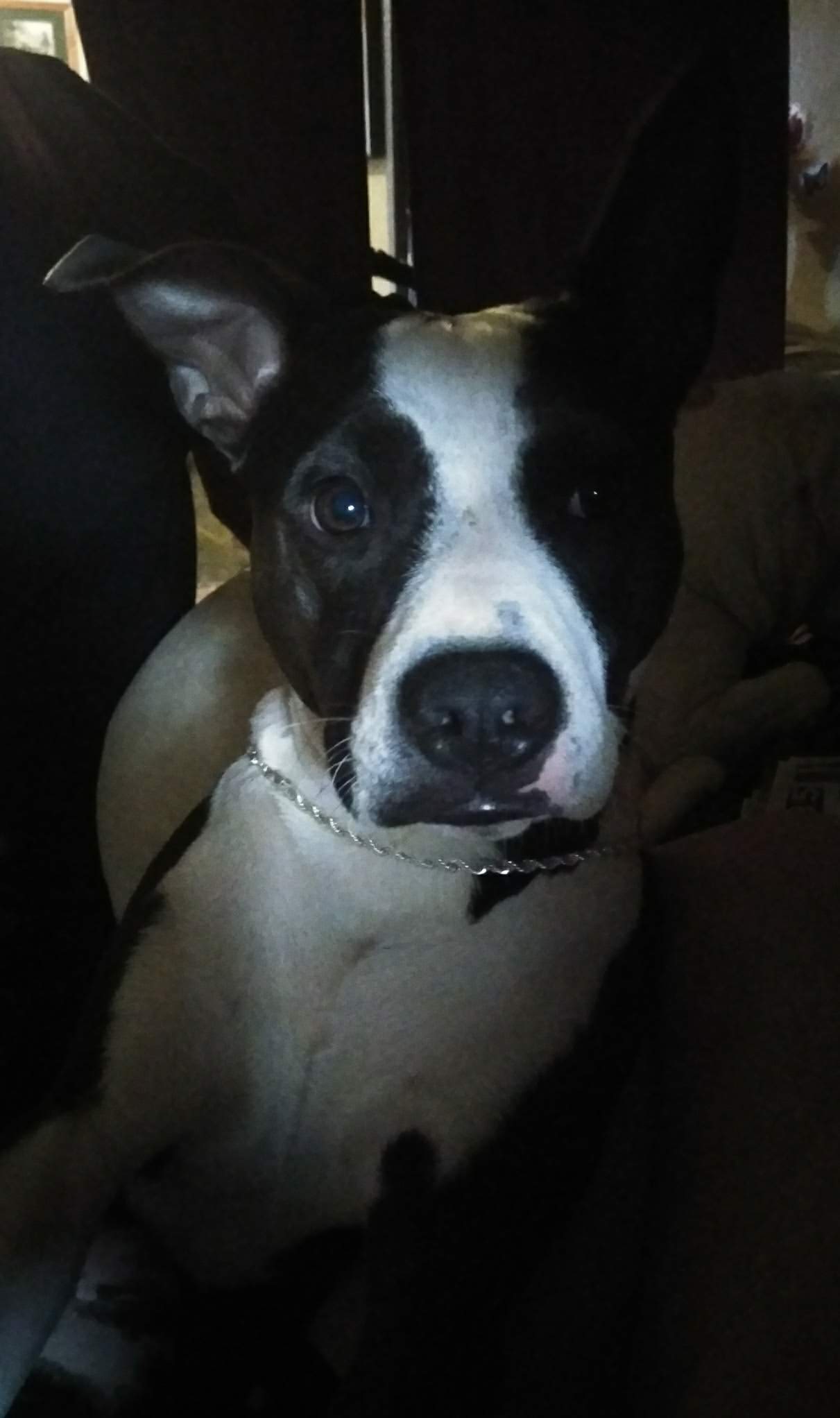 Tux