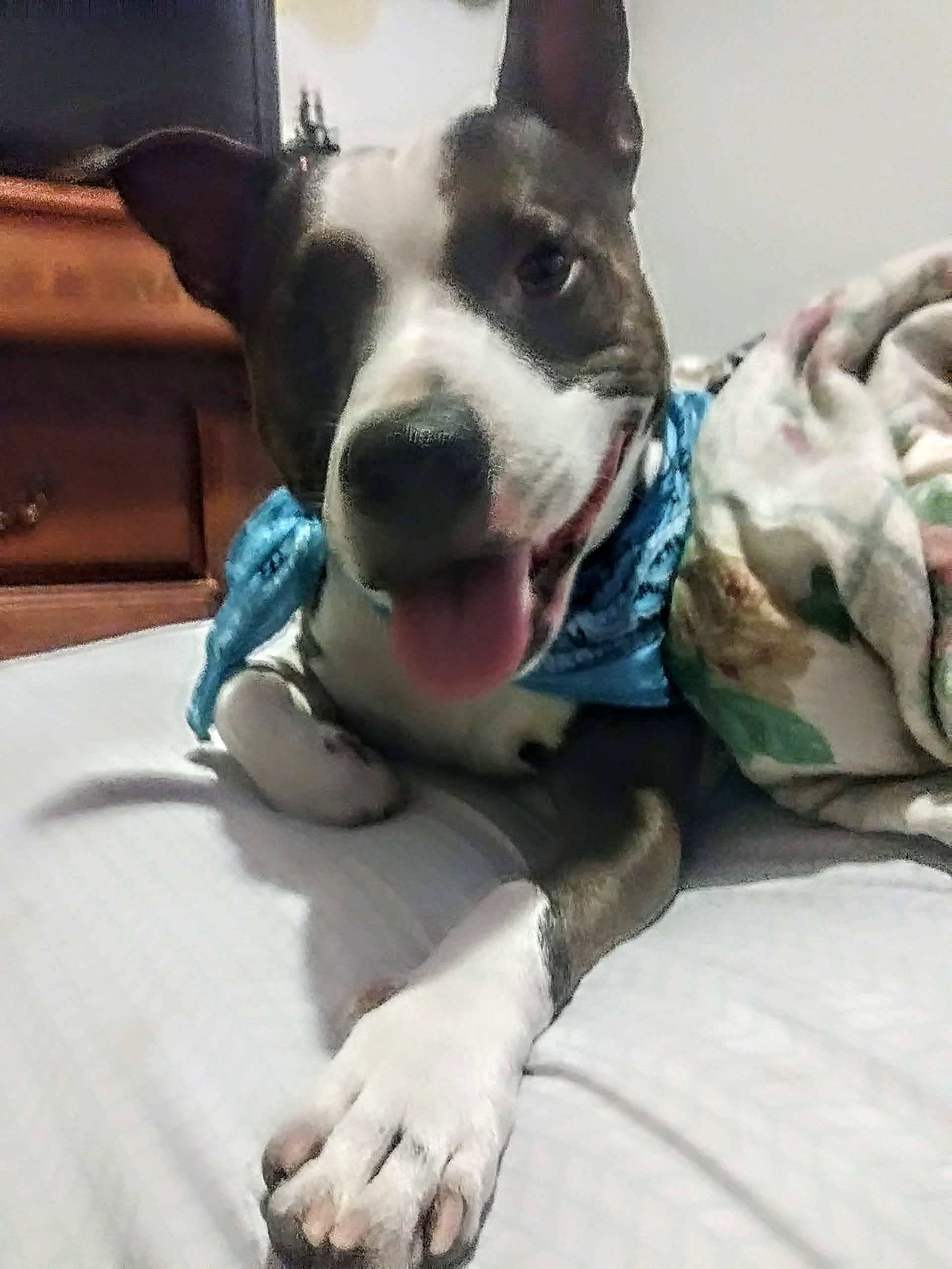 Tux