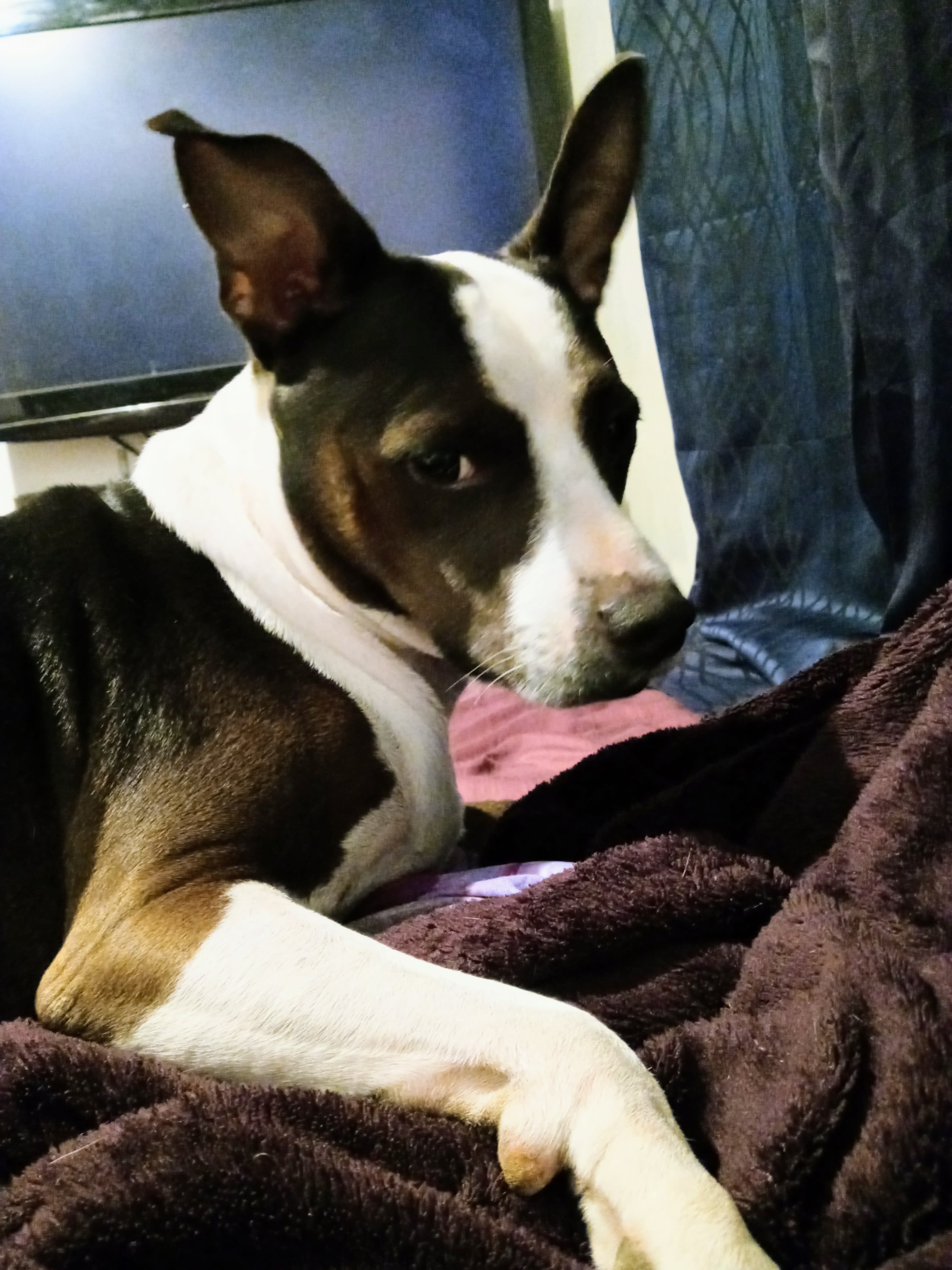 Tux