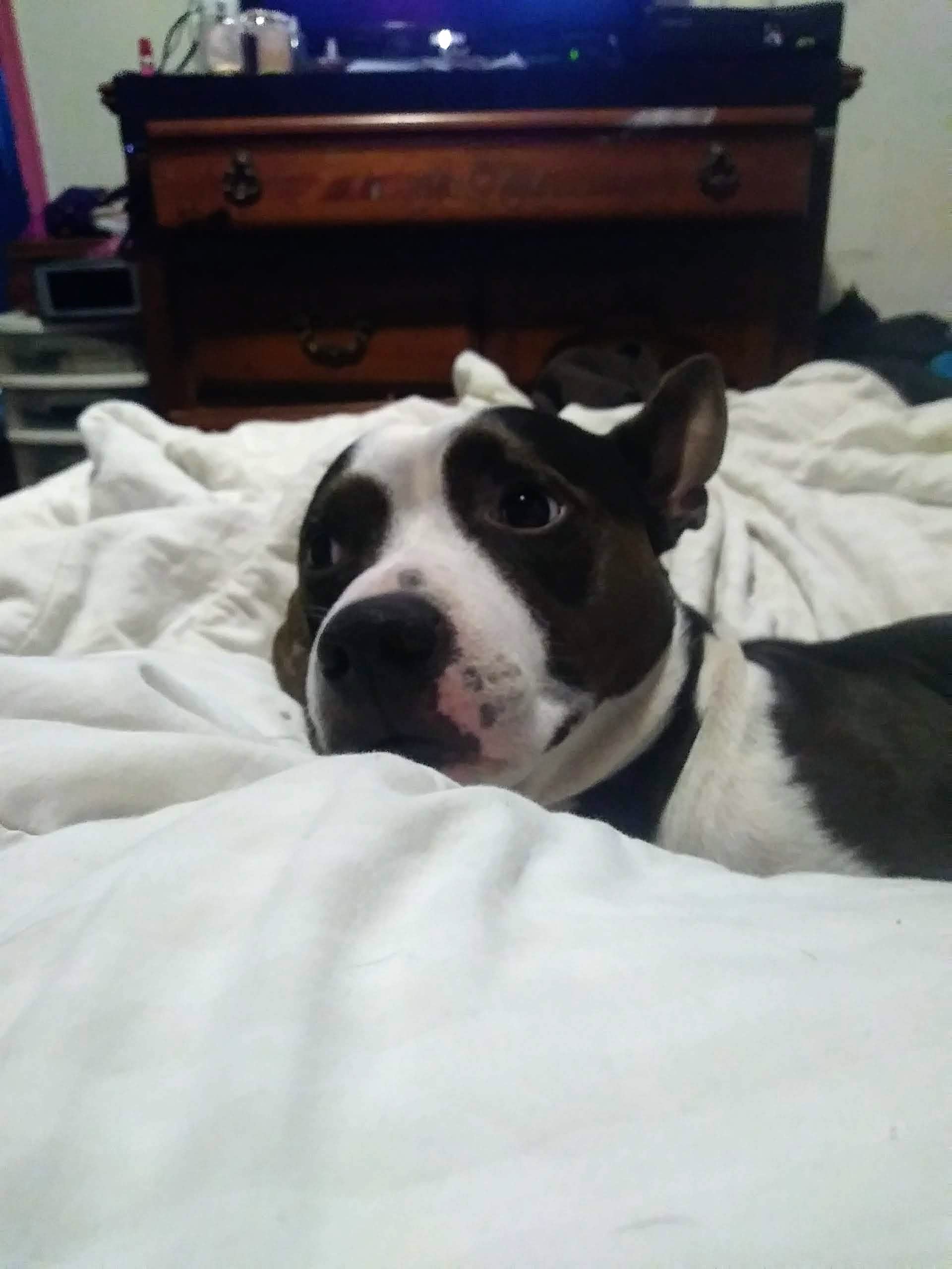 Tux
