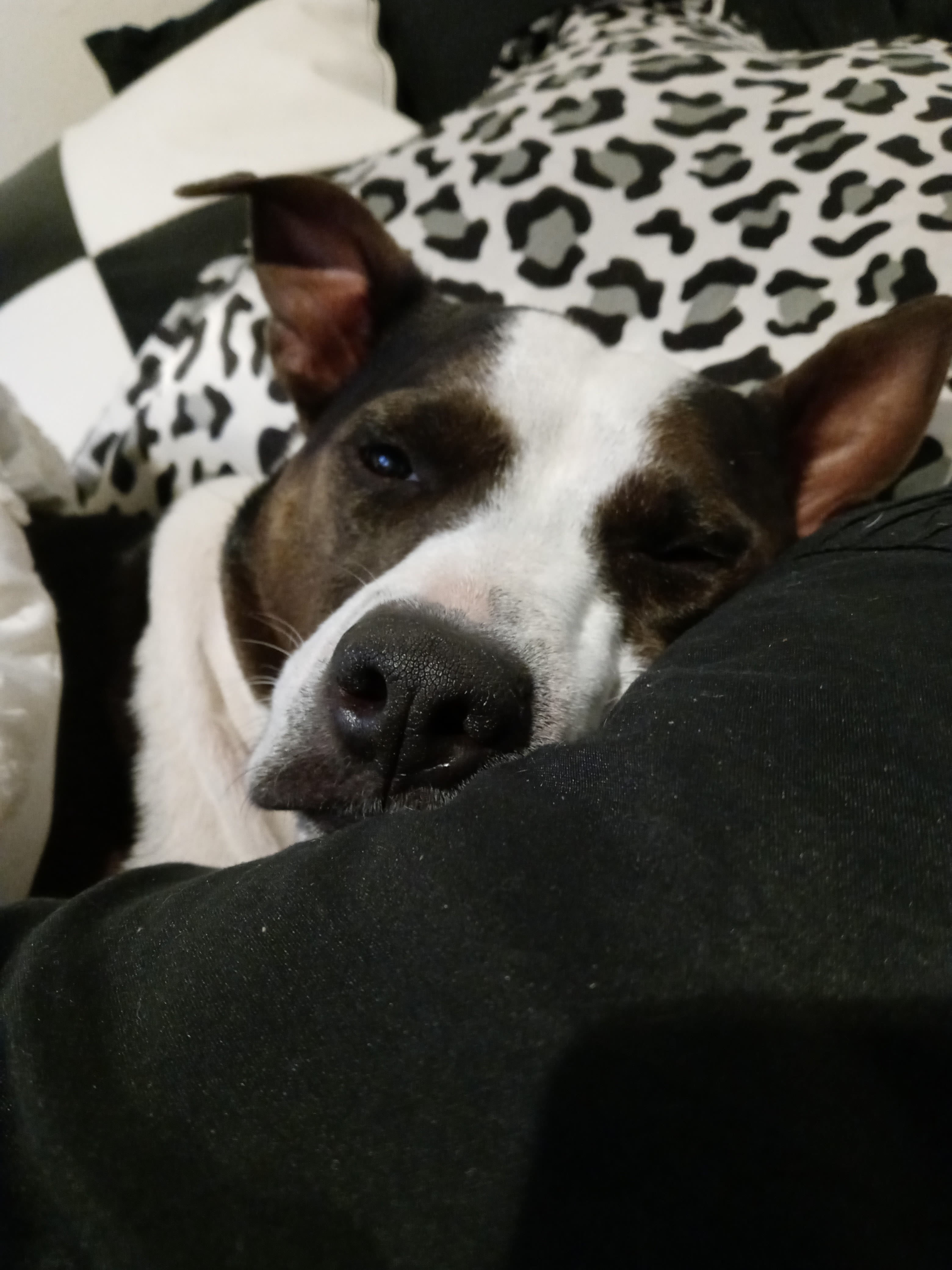 Tux