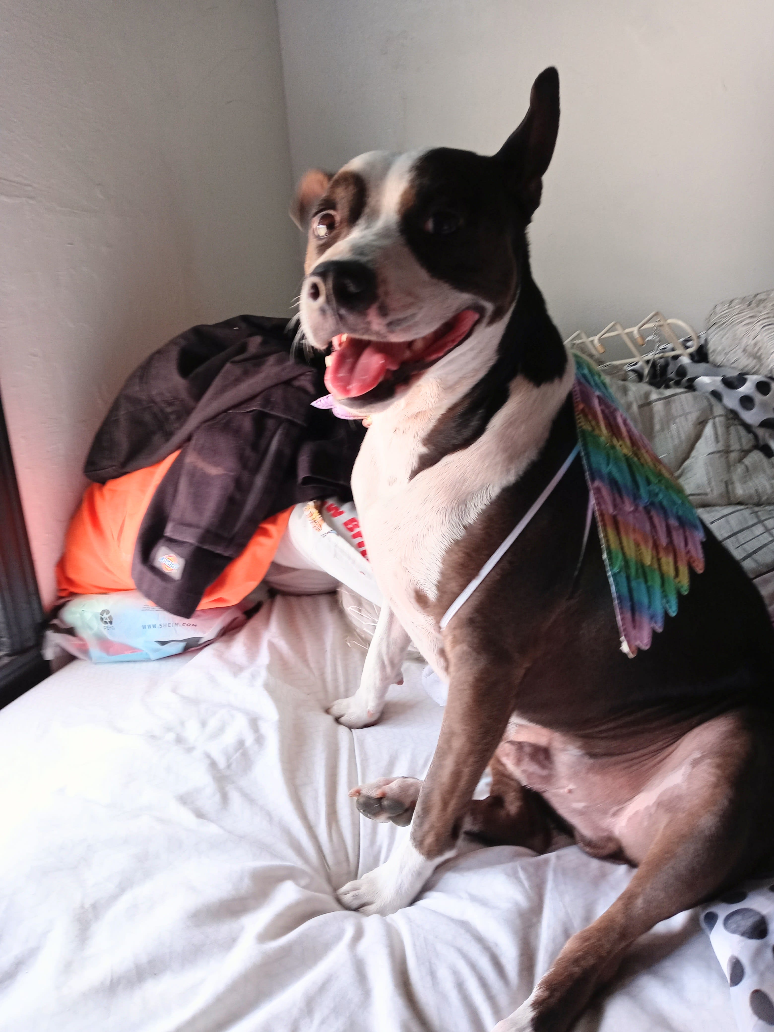 Tux