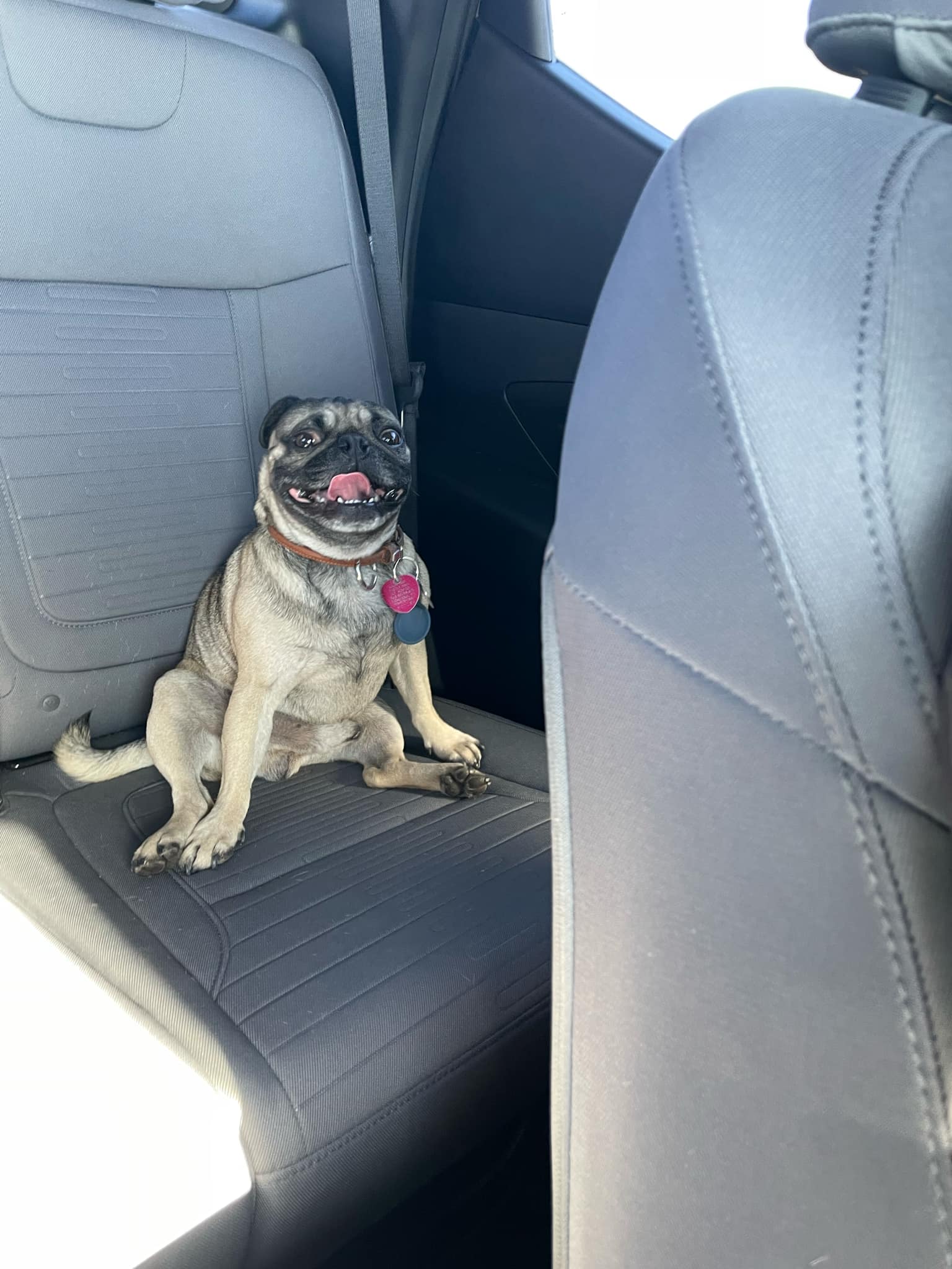 Sammy Netteler Sammy Netteler