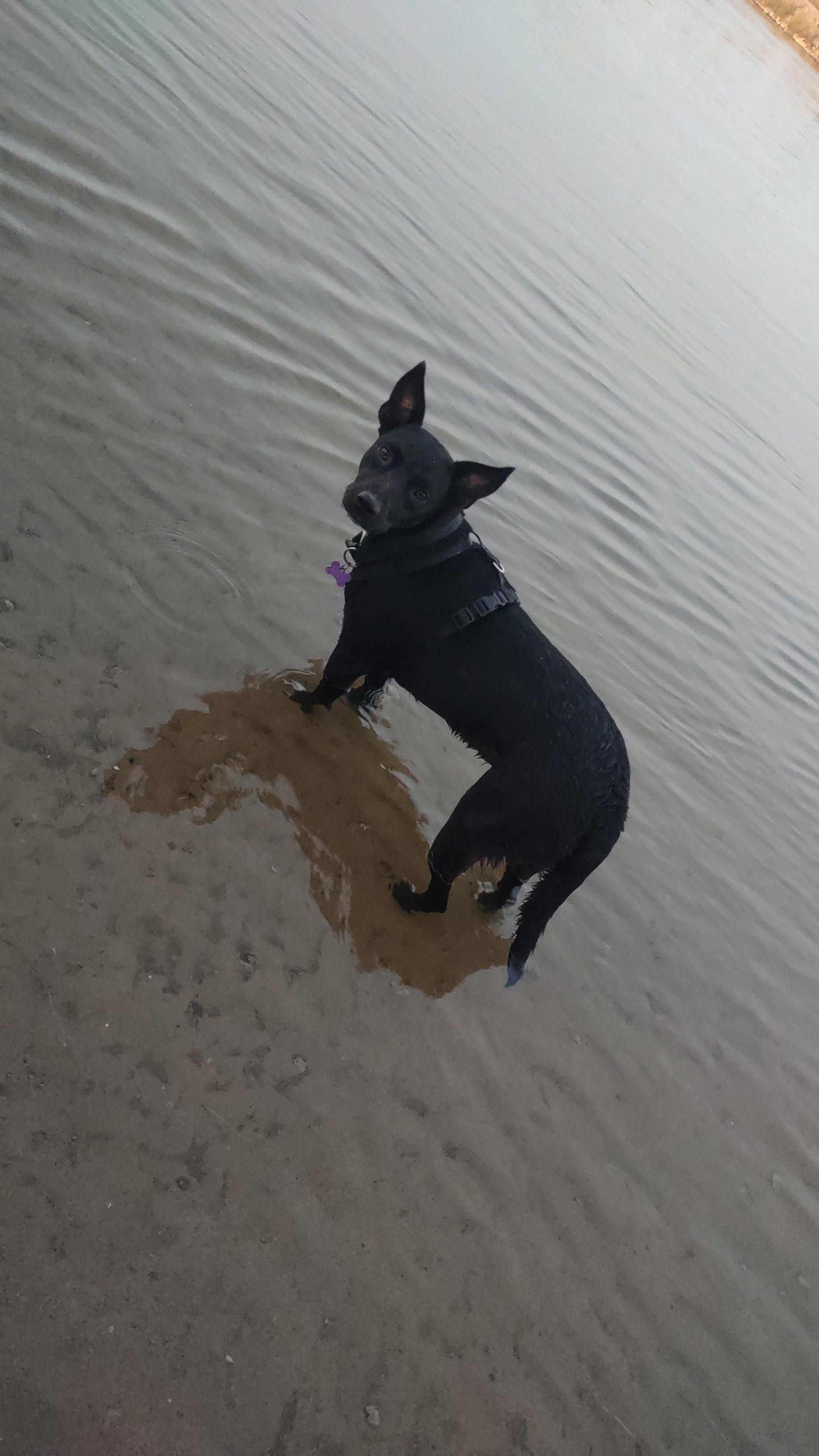 Tilly