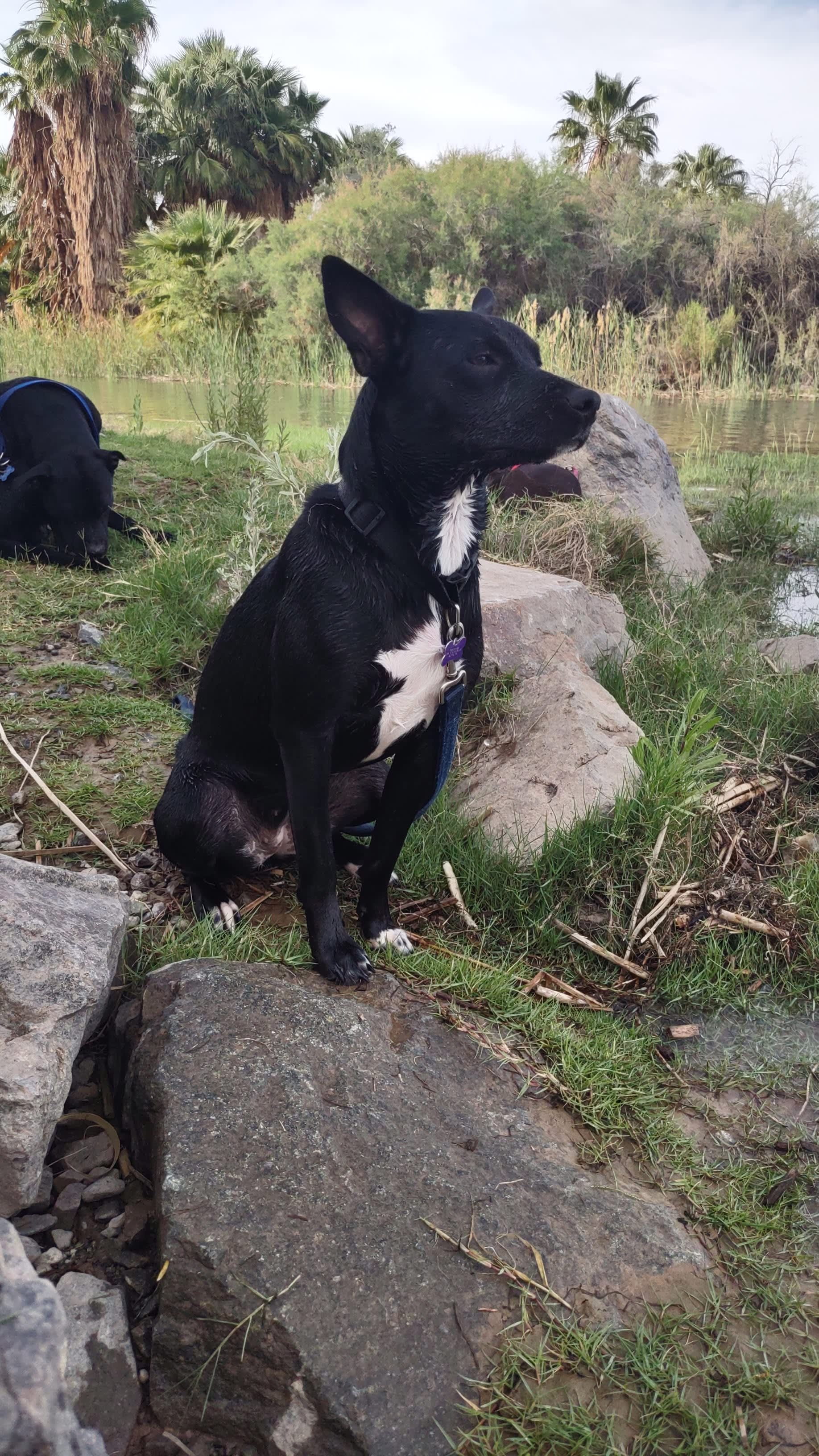 Tilly
