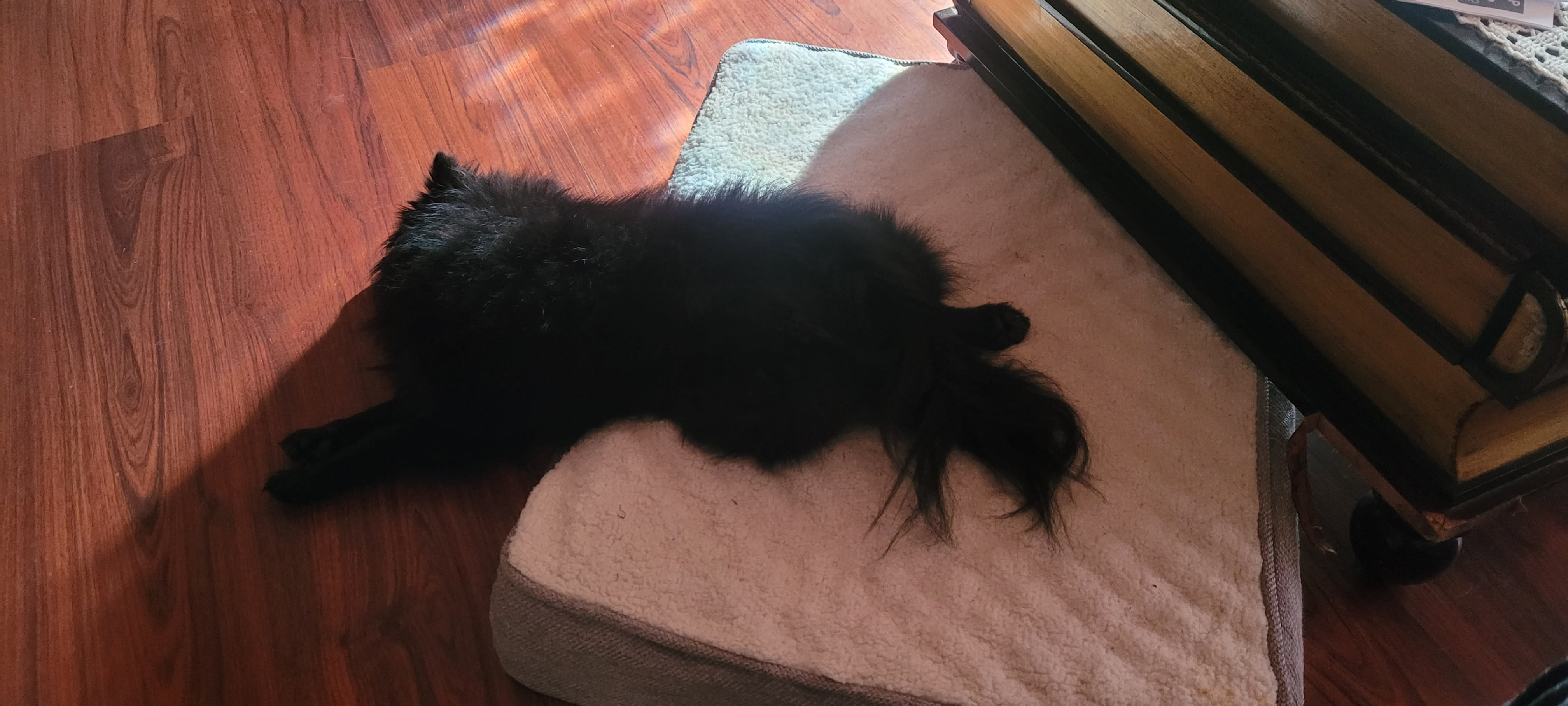 Shadow Shadow
