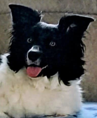 Max