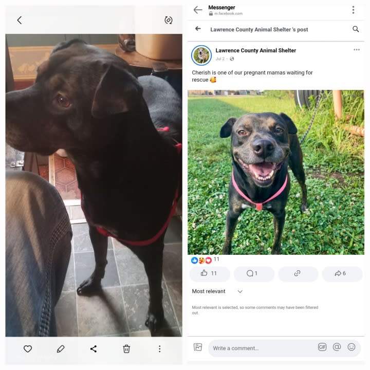 Klydes Dale Klydes Dale