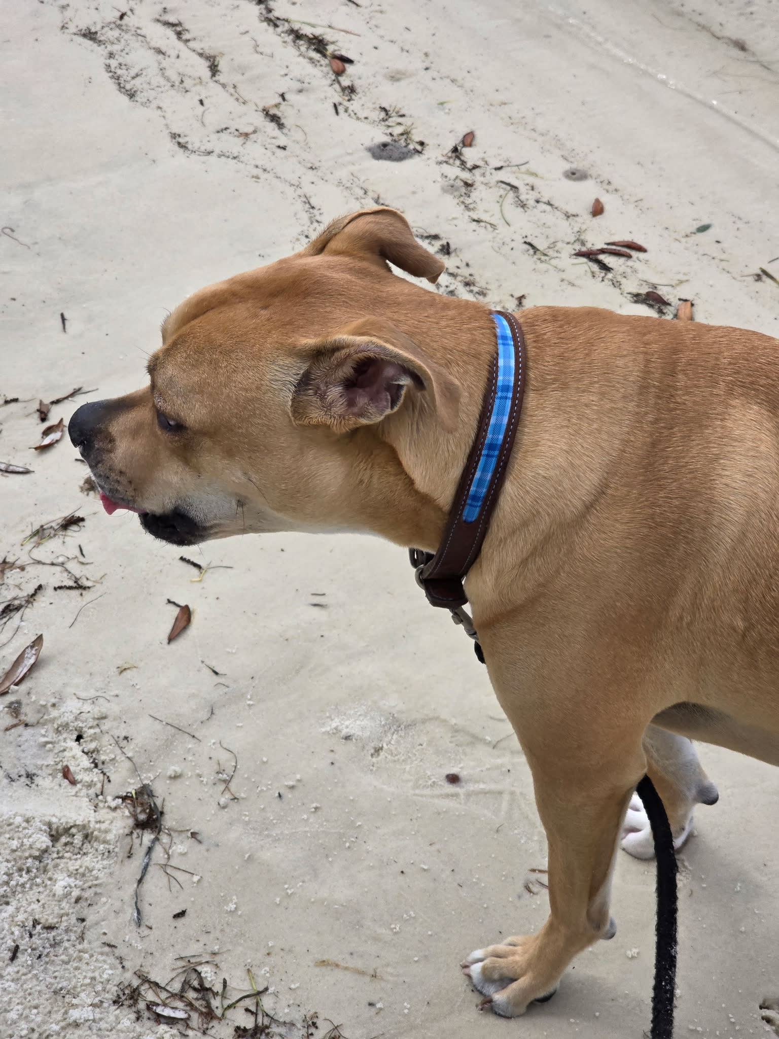 Rusty