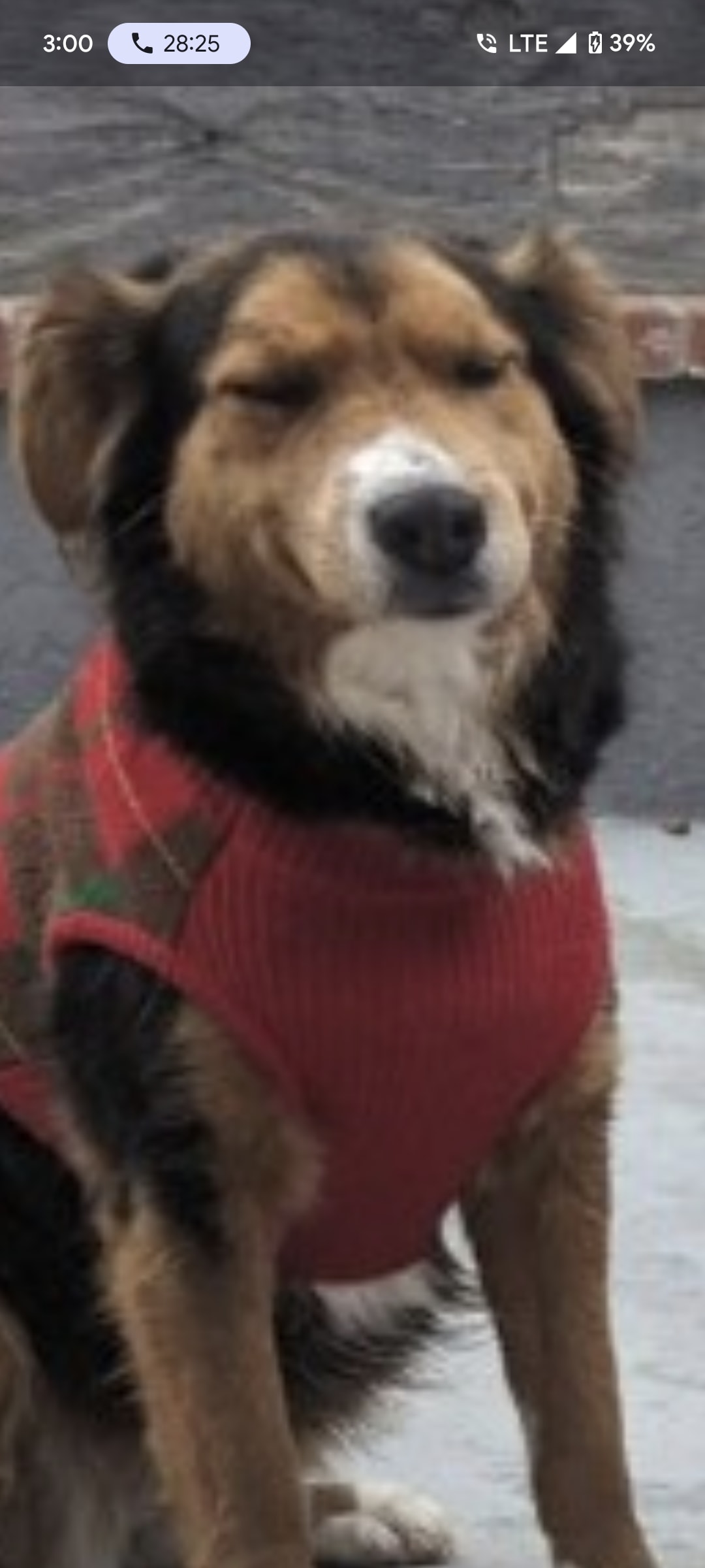 NikkoKobeOlsitaBingo