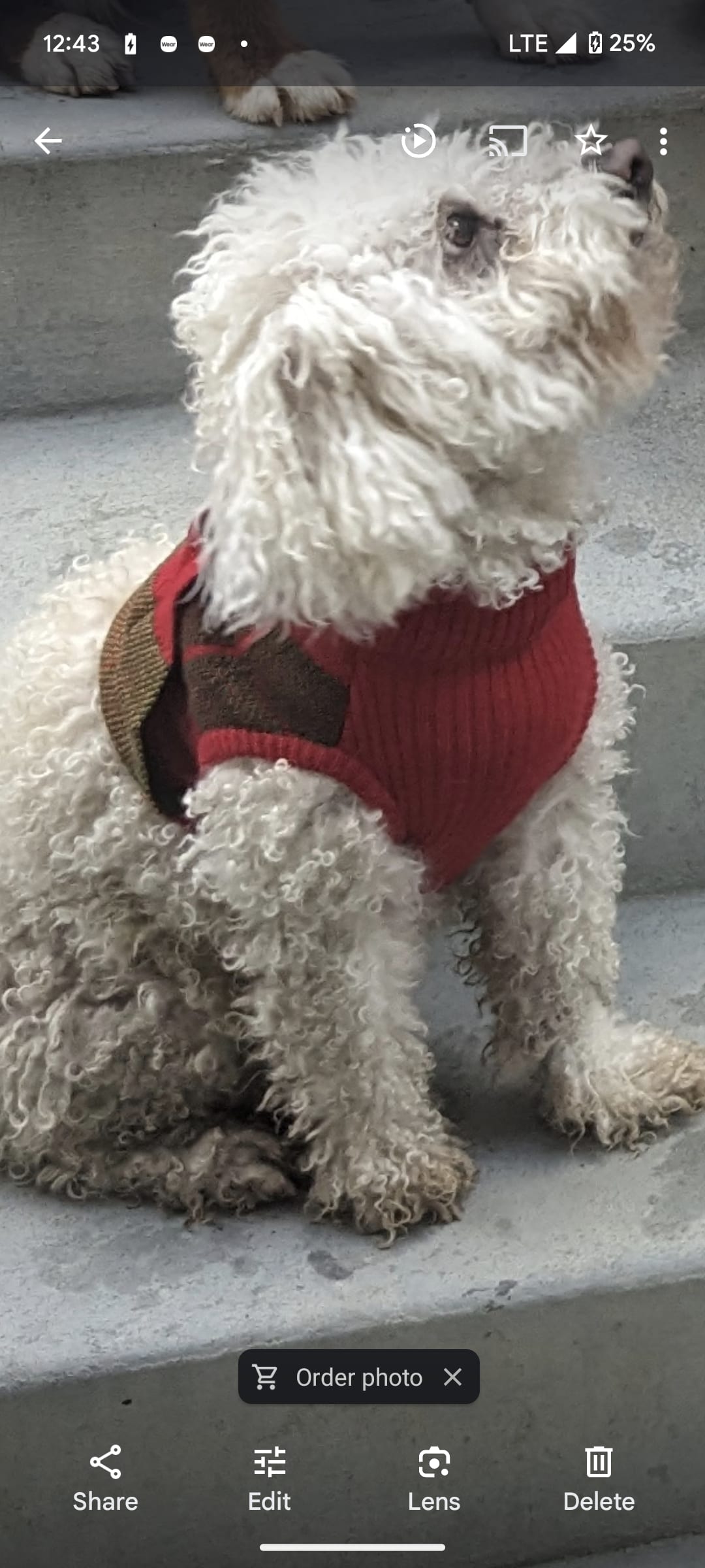 NikkoKobeOlsitaBingo