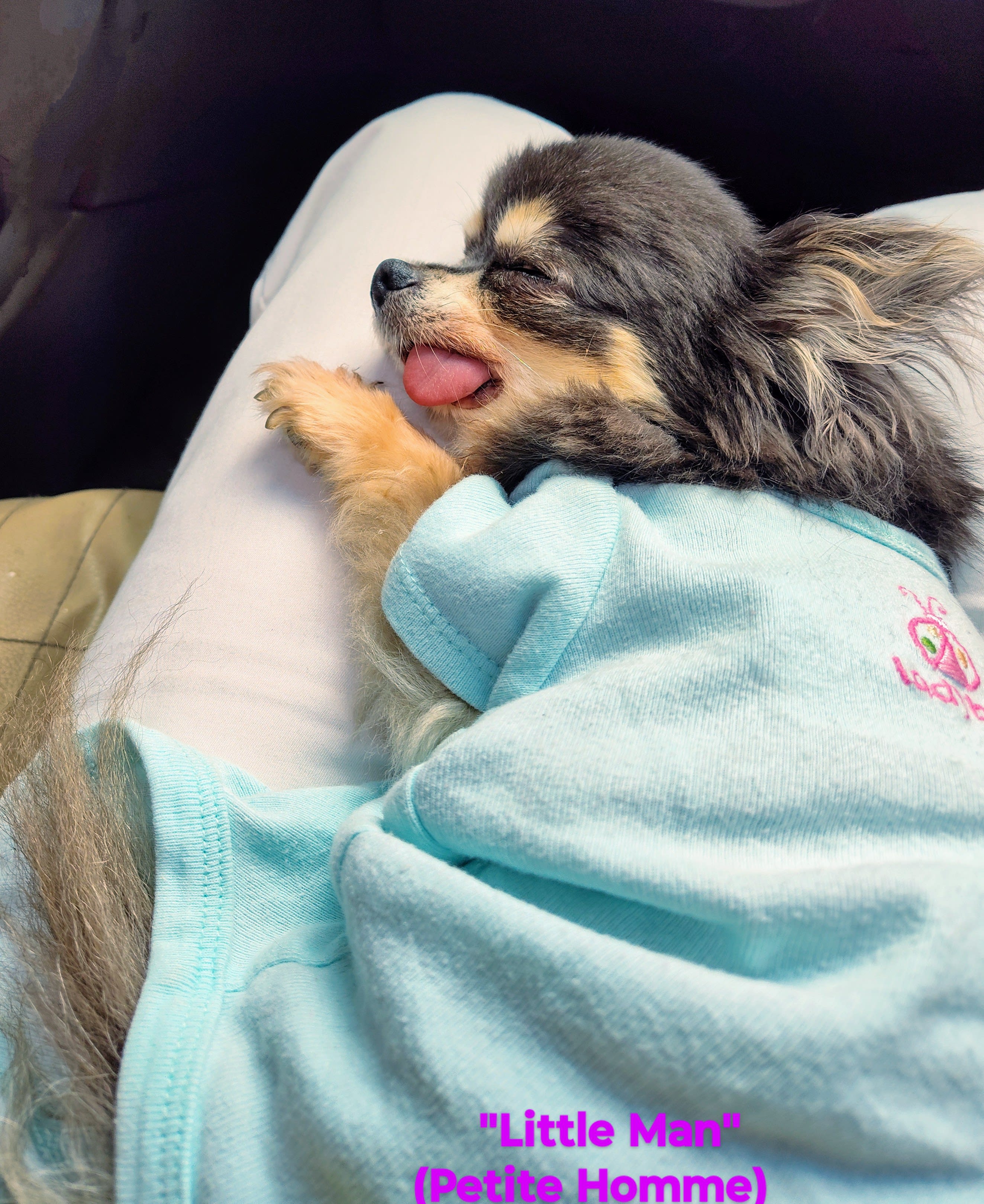 Little Man or Petite Homme Little Man or Petite Homme