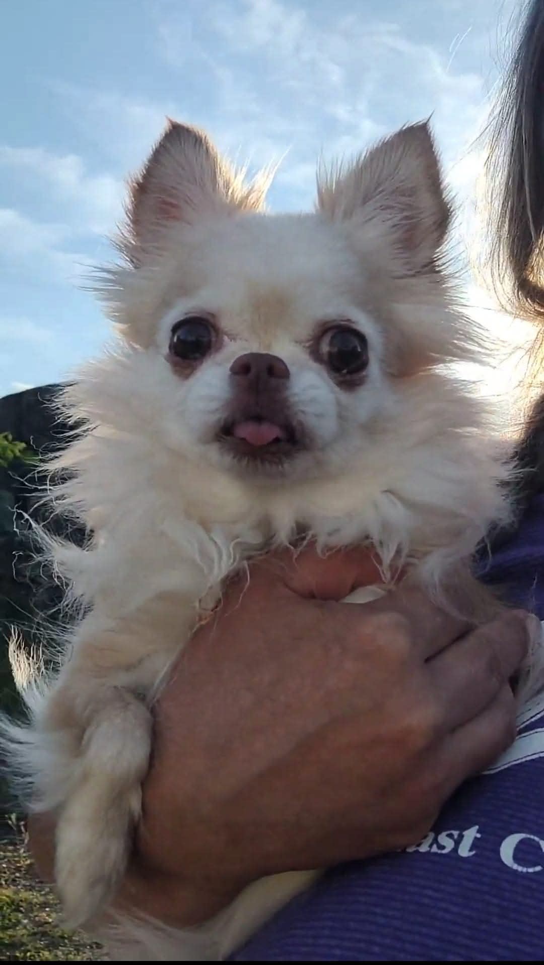 Harley Girl Harley Girl