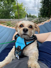 Baxter Busche Baxter Busche