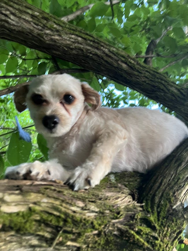 Baxter Busche Baxter Busche