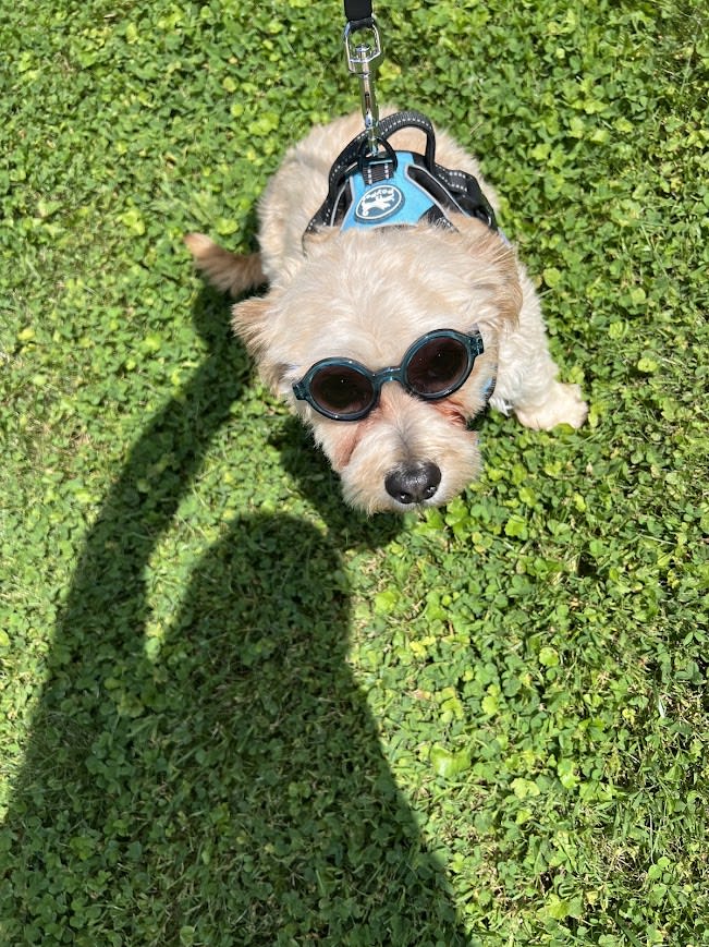 Baxter Busche Baxter Busche