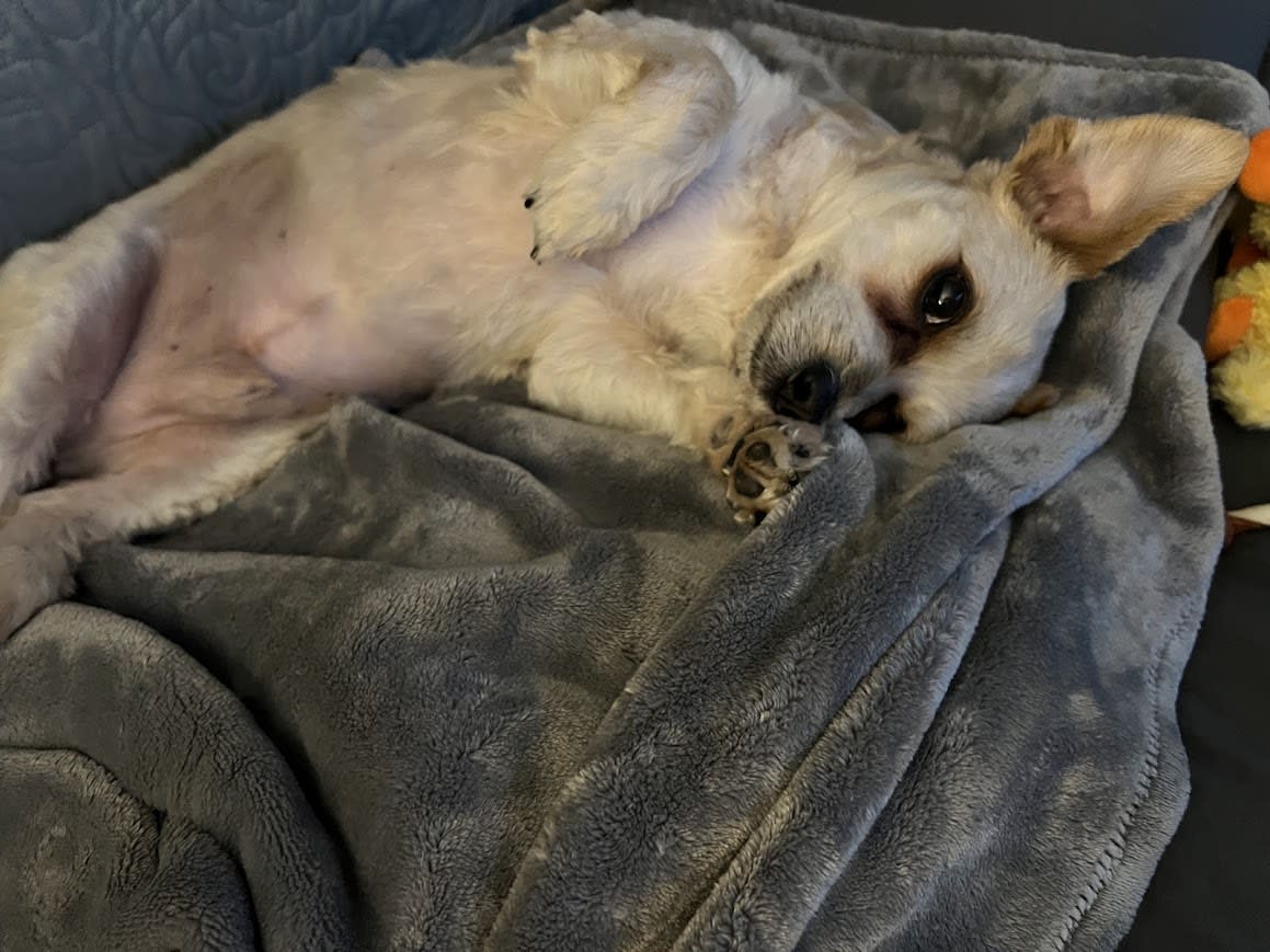 Baxter Busche Baxter Busche