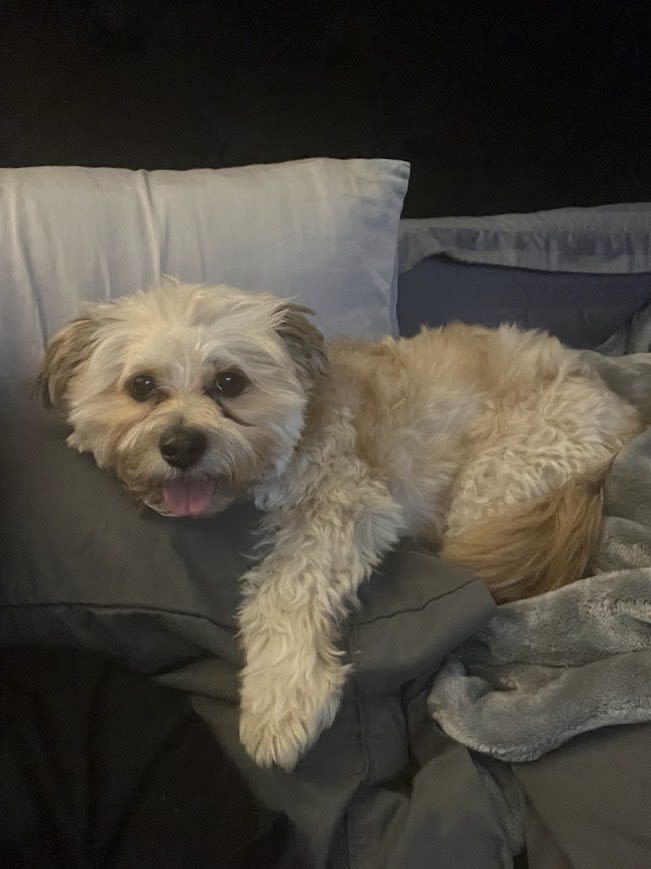 Baxter Busche Baxter Busche