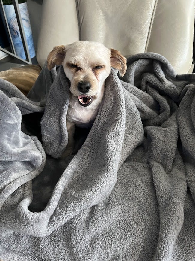 Baxter Busche Baxter Busche