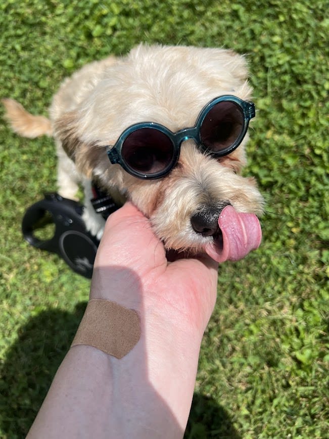 Baxter Busche Baxter Busche