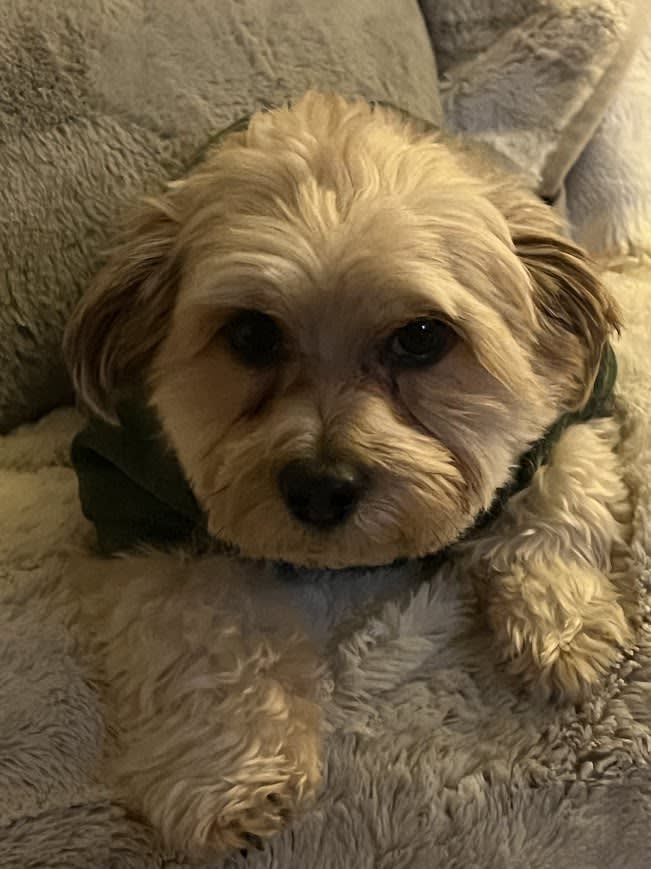 Baxter Busche Baxter Busche