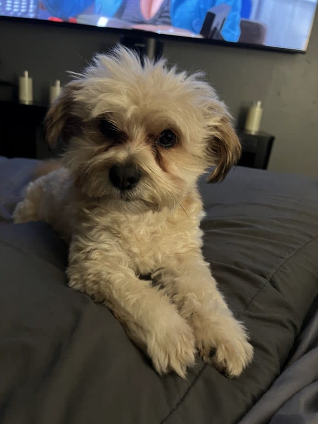 Baxter Busche Baxter Busche