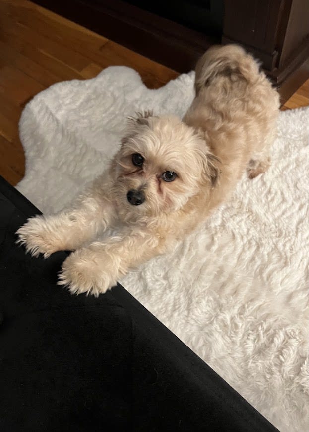 Baxter Busche Baxter Busche