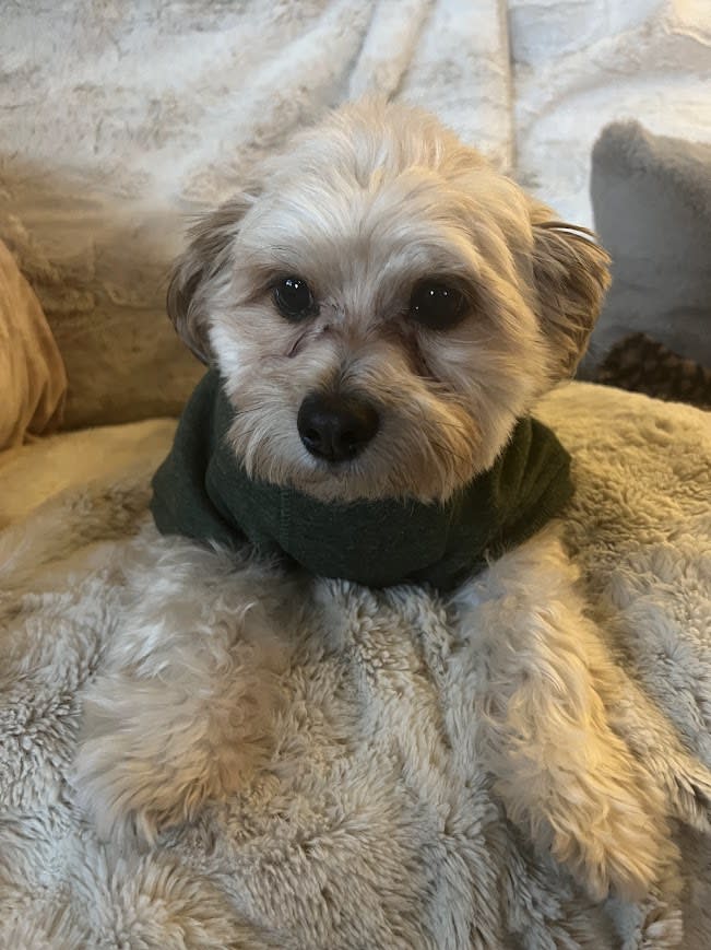 Baxter Busche Baxter Busche