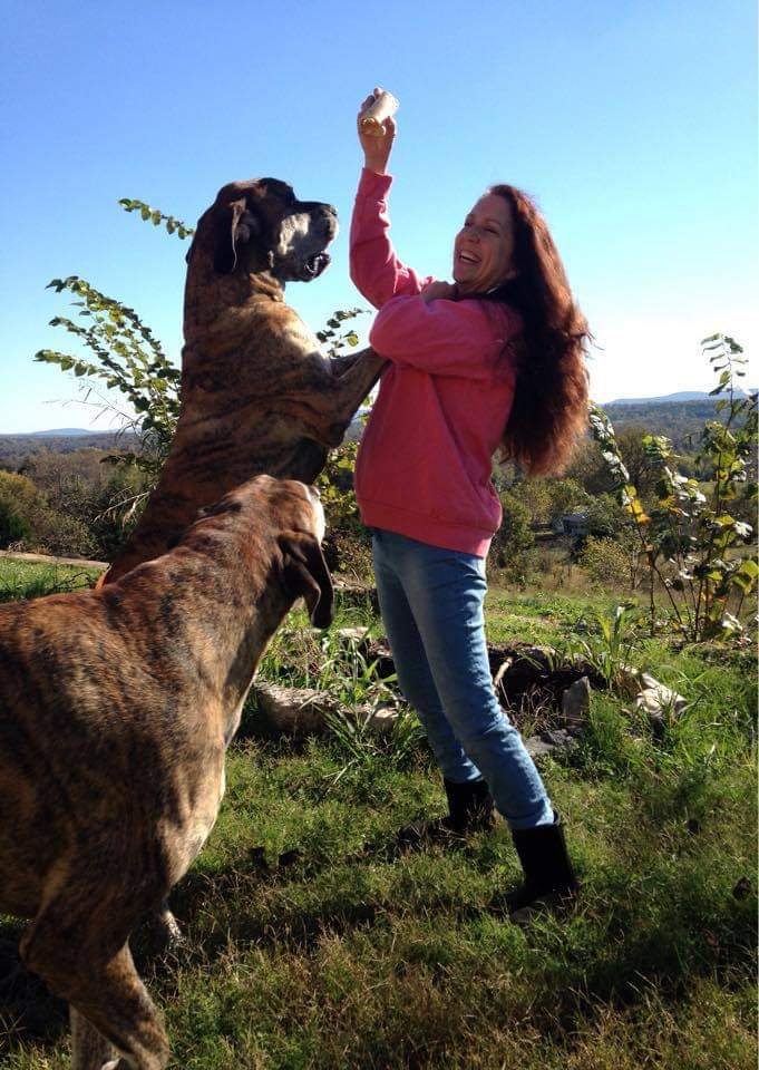 Gadzues Old man was out in the heat very matted from living outside He is now a very happy indoor dog playing like a pup again