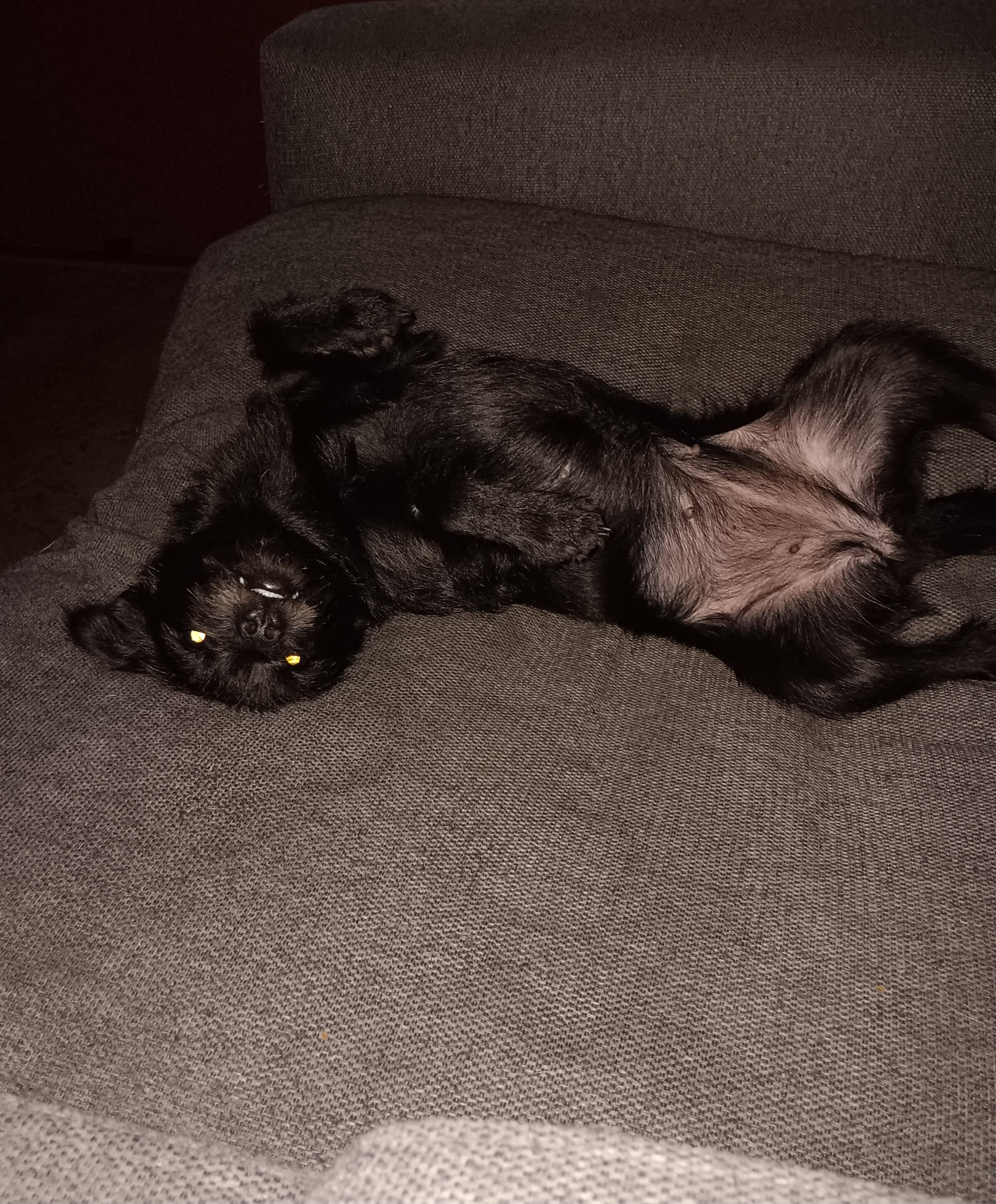 Abigail Rose - Aby for short