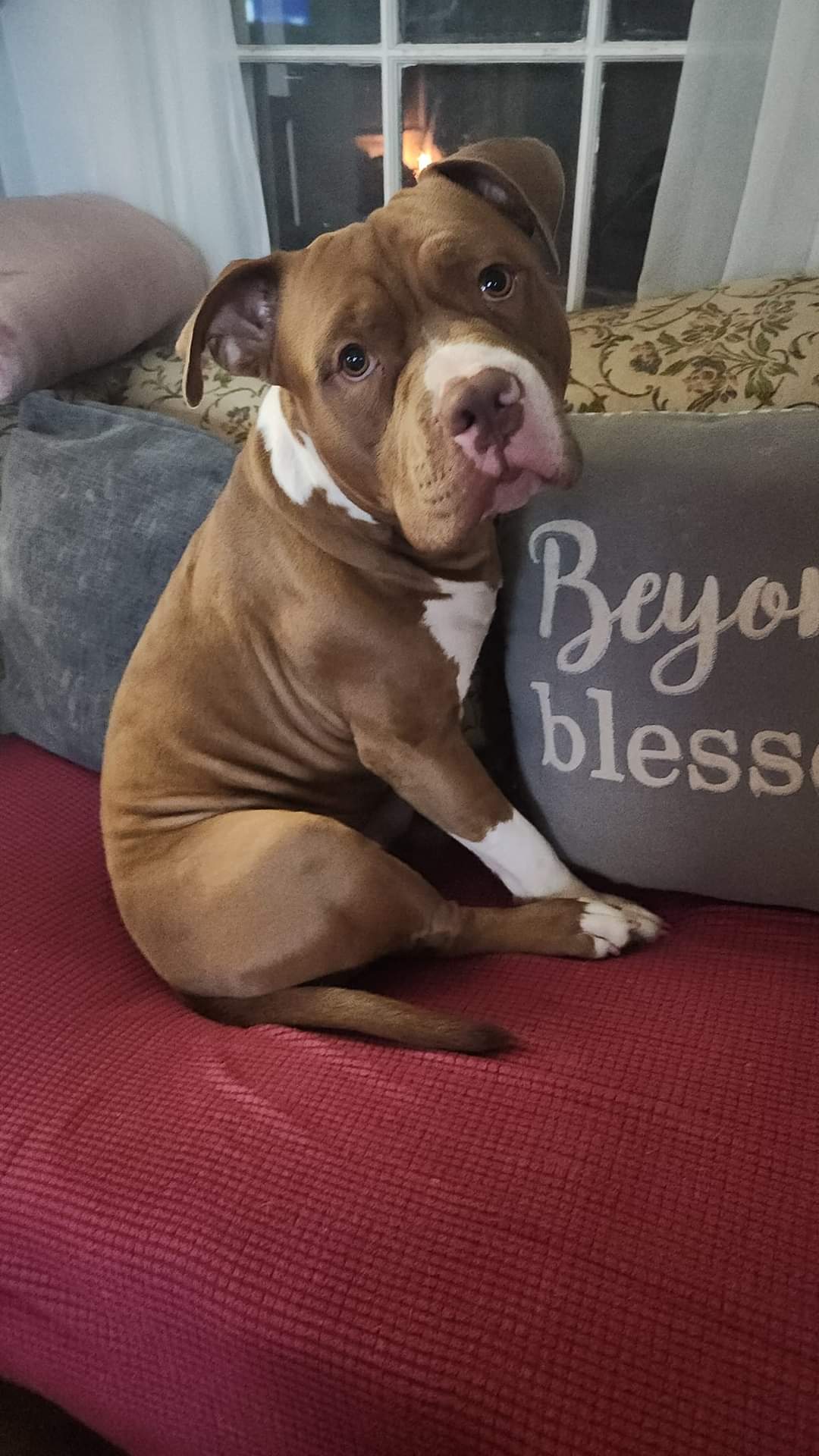 Malakai - Tank - Kreature