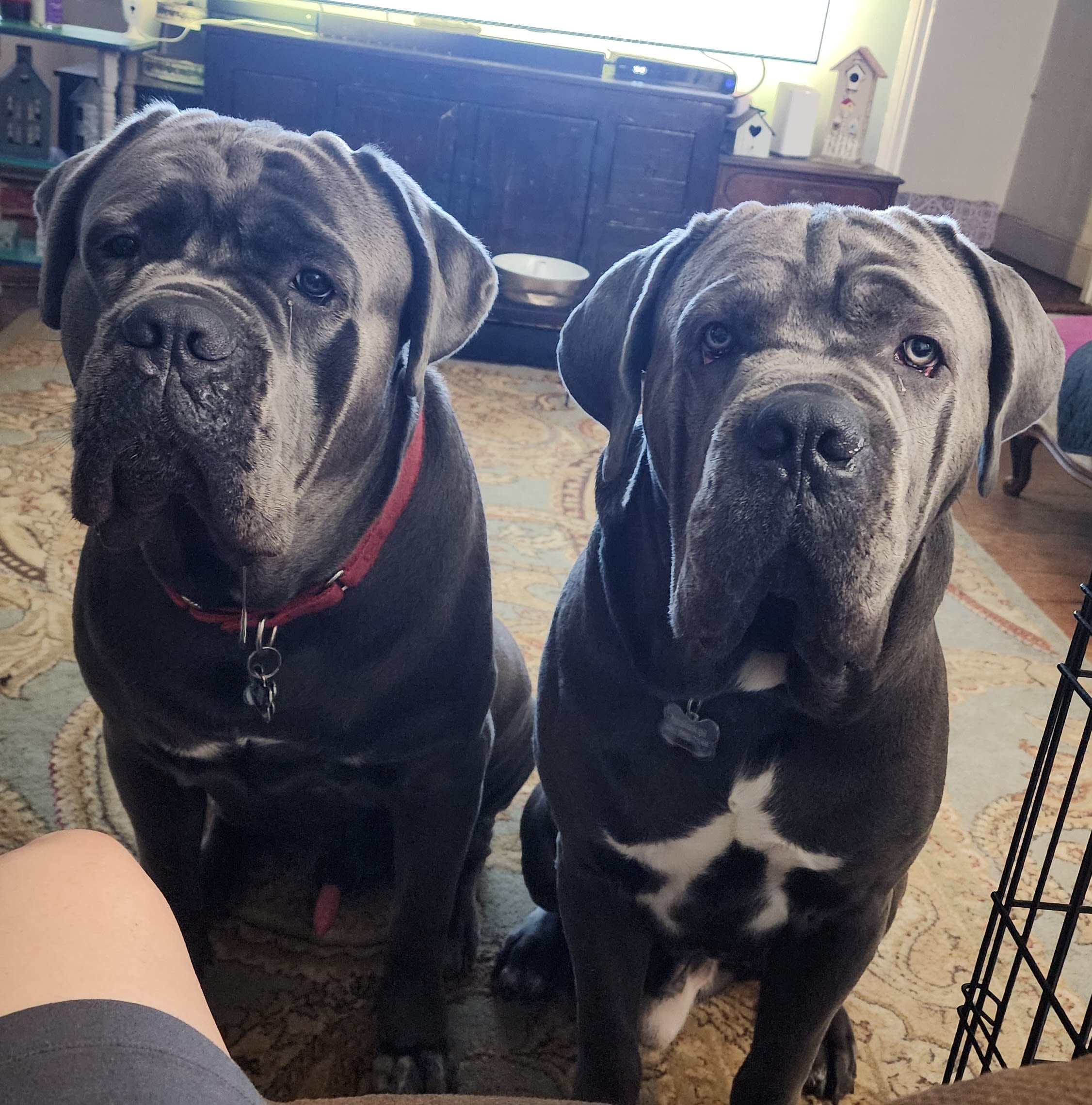 Malakai - Tank - Kreature Malakai - Tank - Kreature