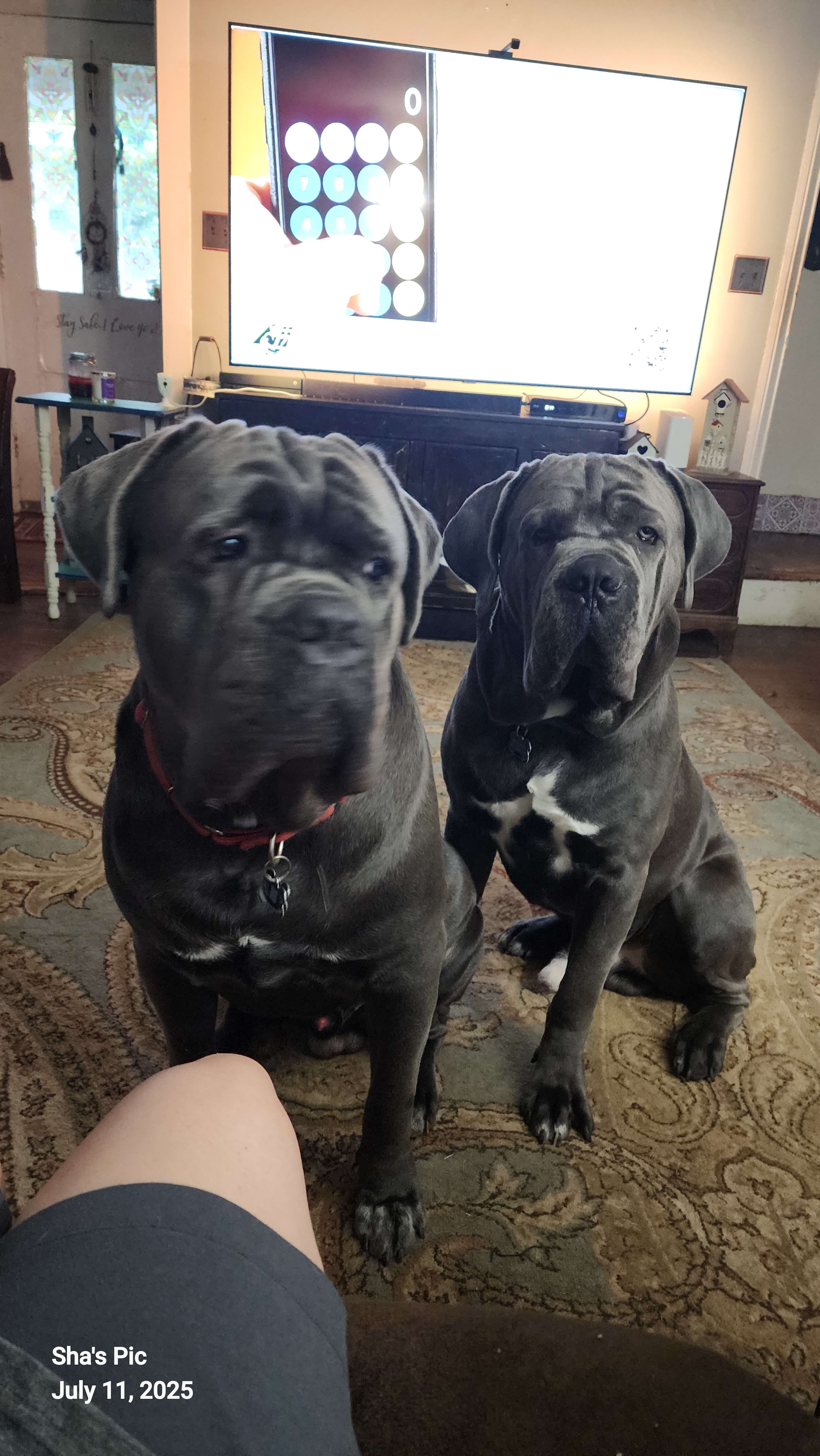 Malakai - Tank - Kreature