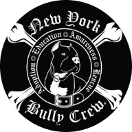 New York Bully Crew
