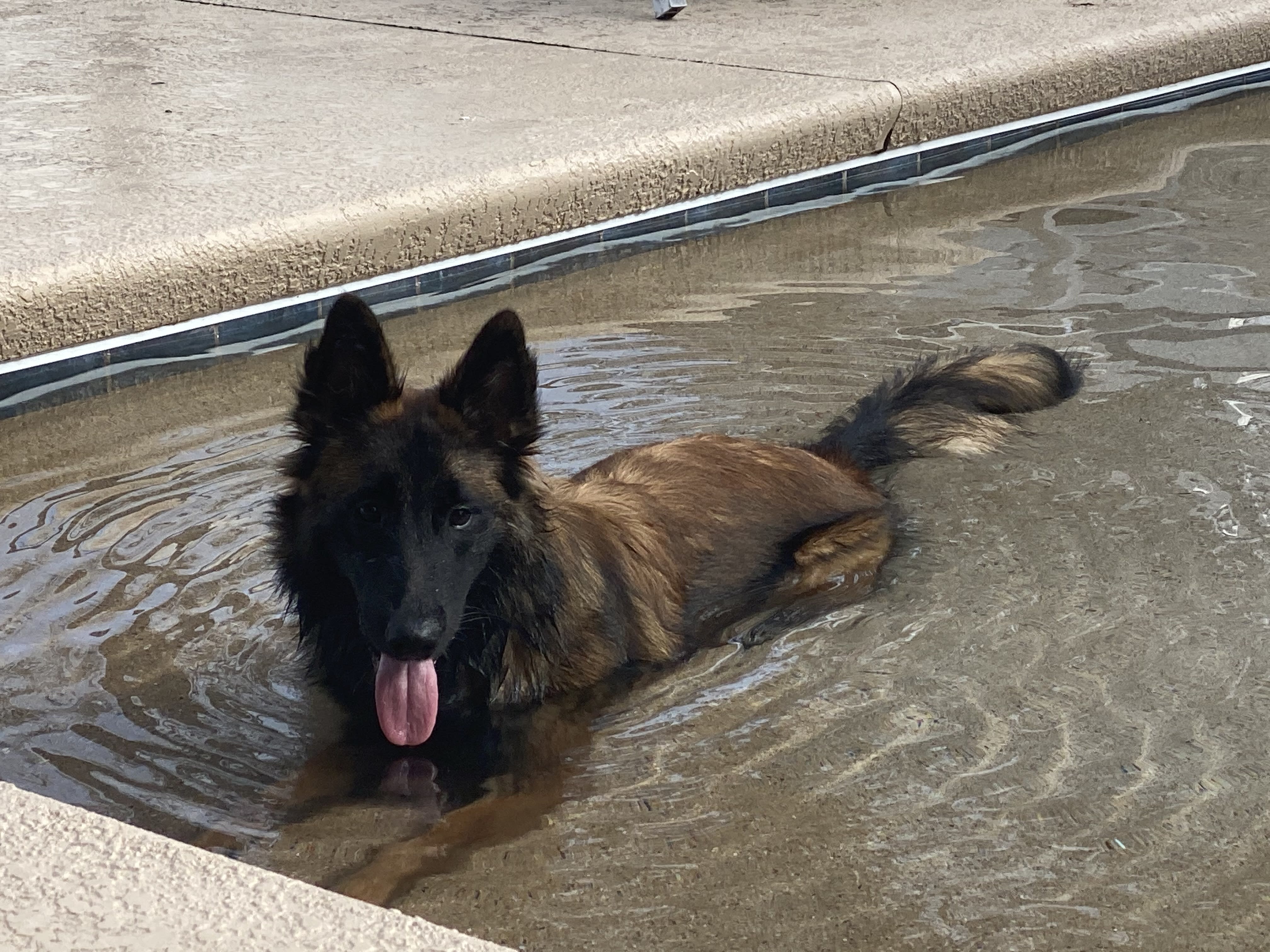 Xena Warrior Princess