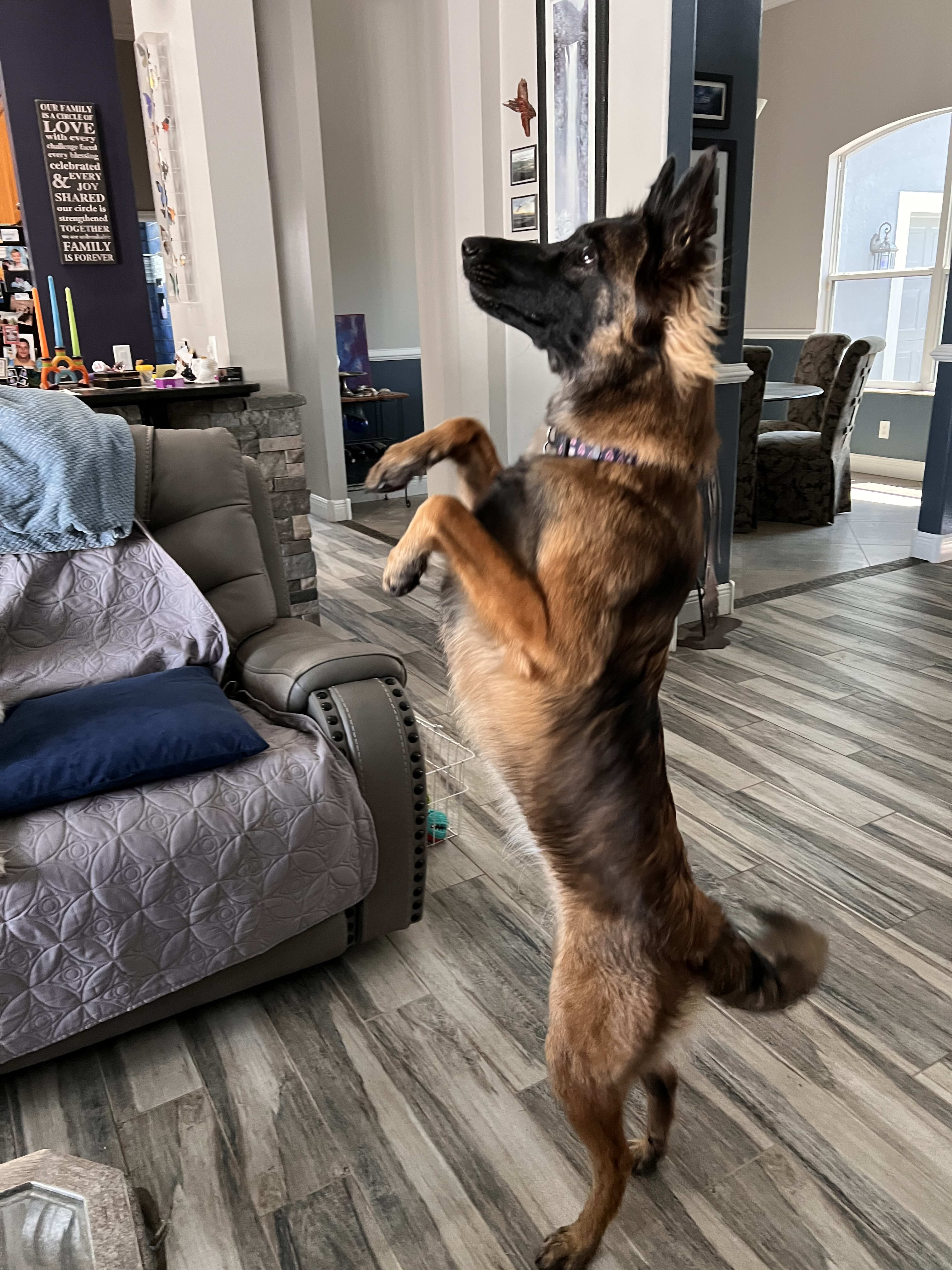 Xena Warrior Princess