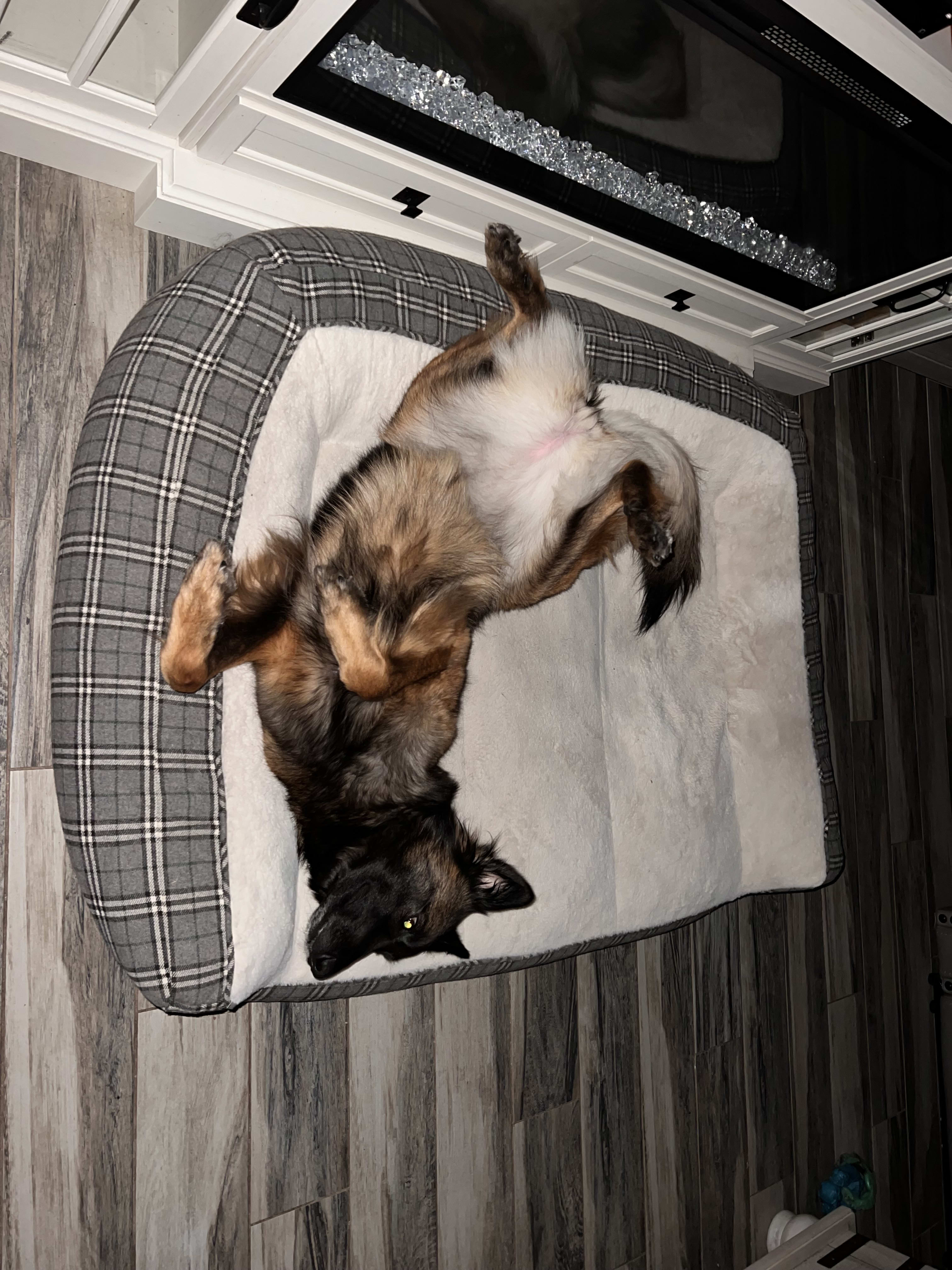 Xena Warrior Princess