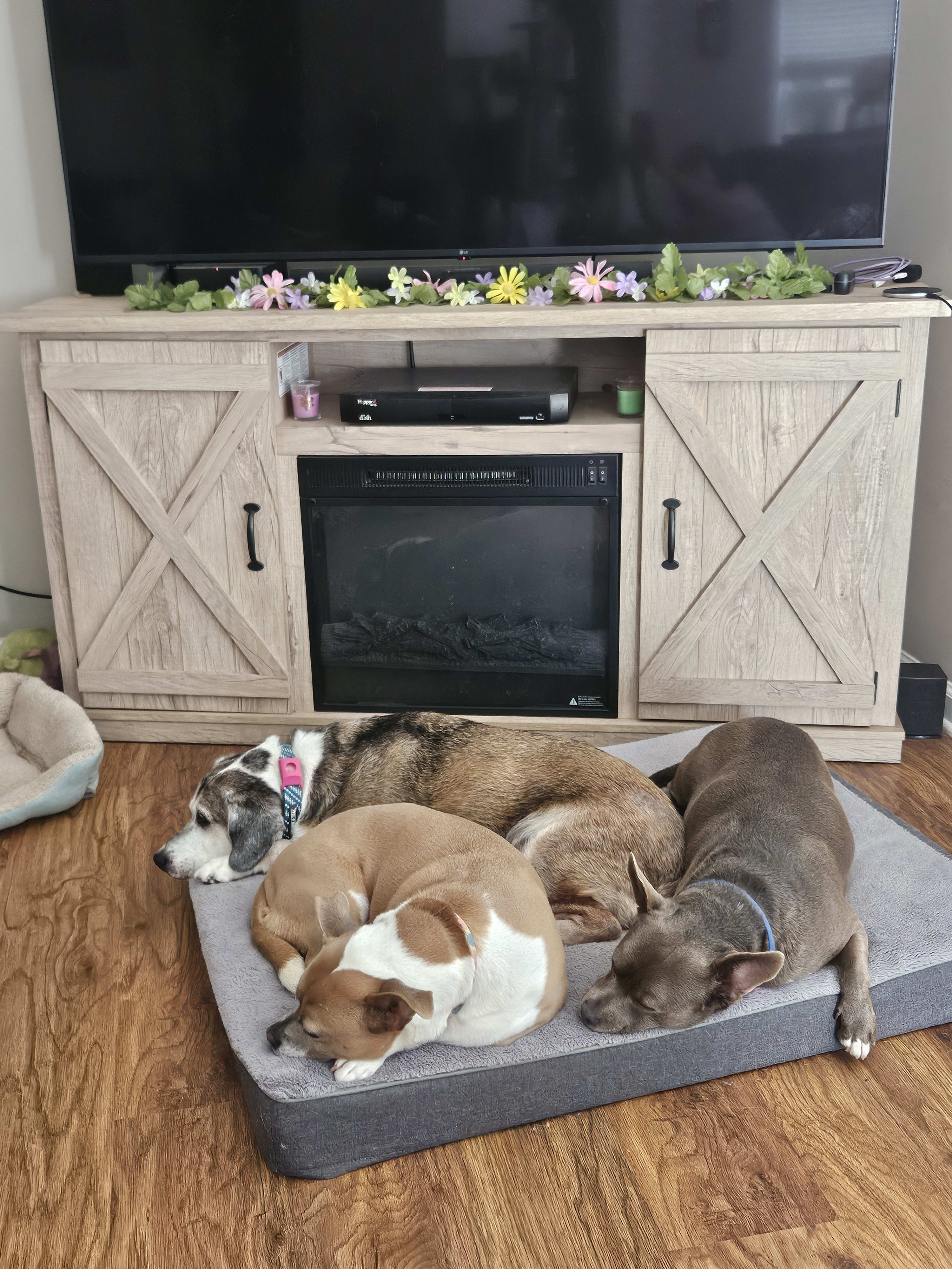 Millie - Envy - Tatey