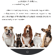 Christian county, KY Animal Shelter 