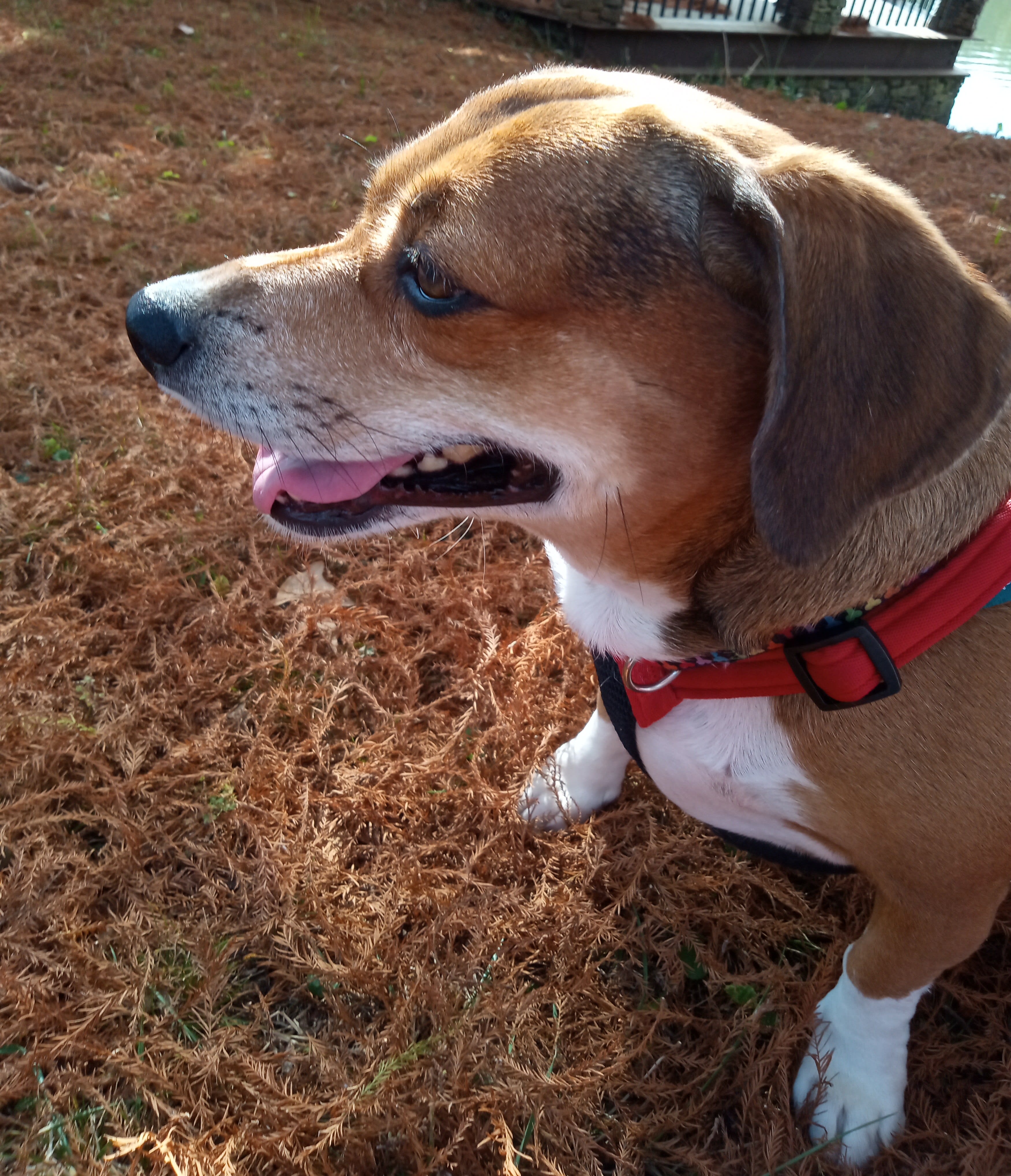 Sally Anne Sally Anne