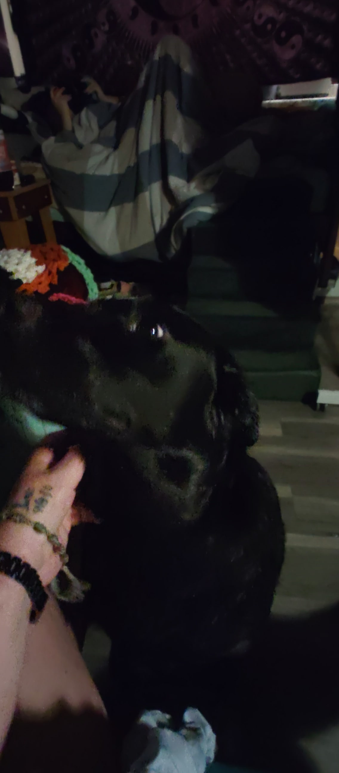 Artemis Muse Artemis Muse