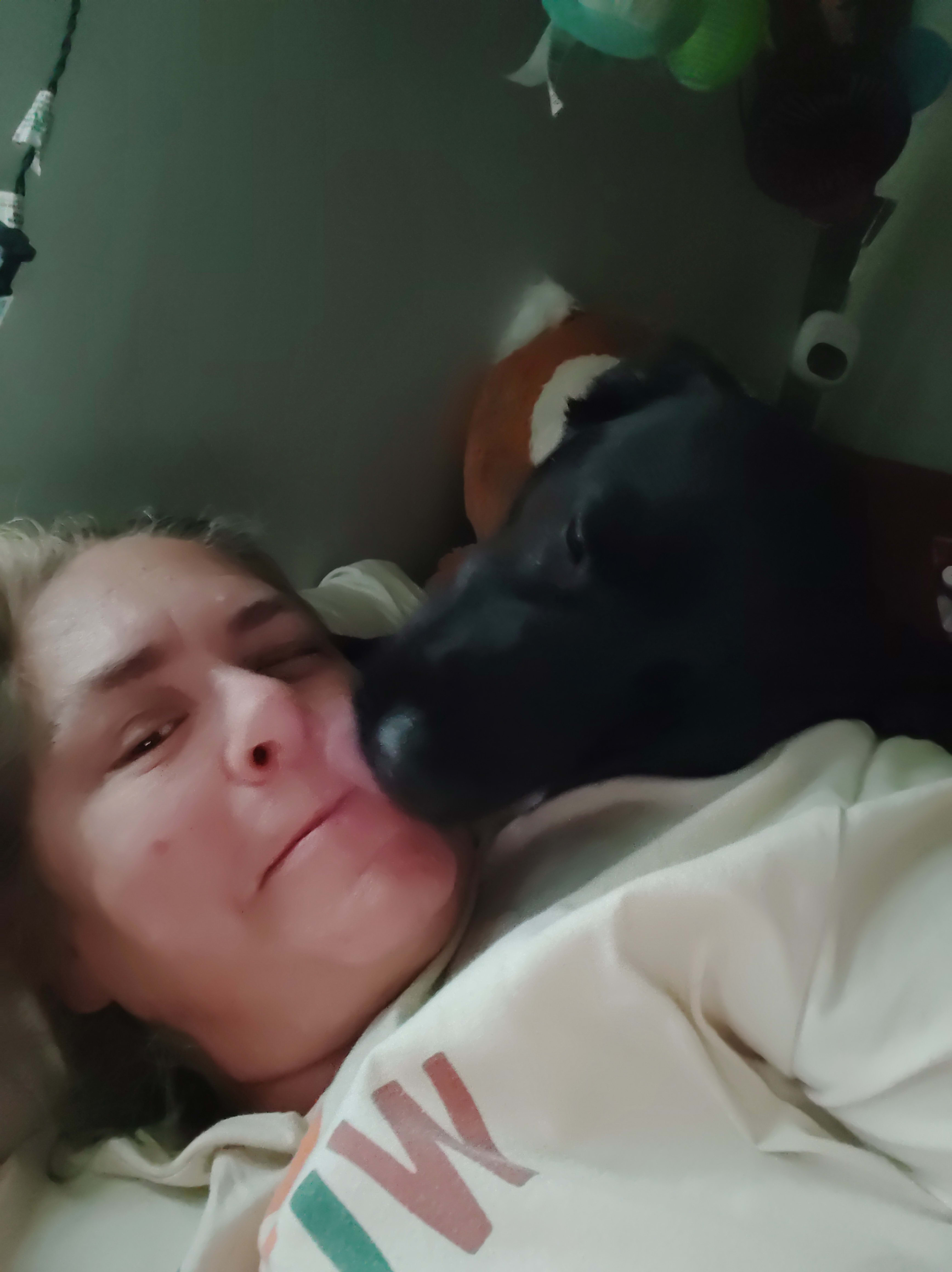 Artemis Muse Artemis Muse