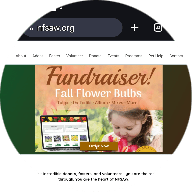 New Fairfield Sherman Animal Welfare Society (NFSAW)