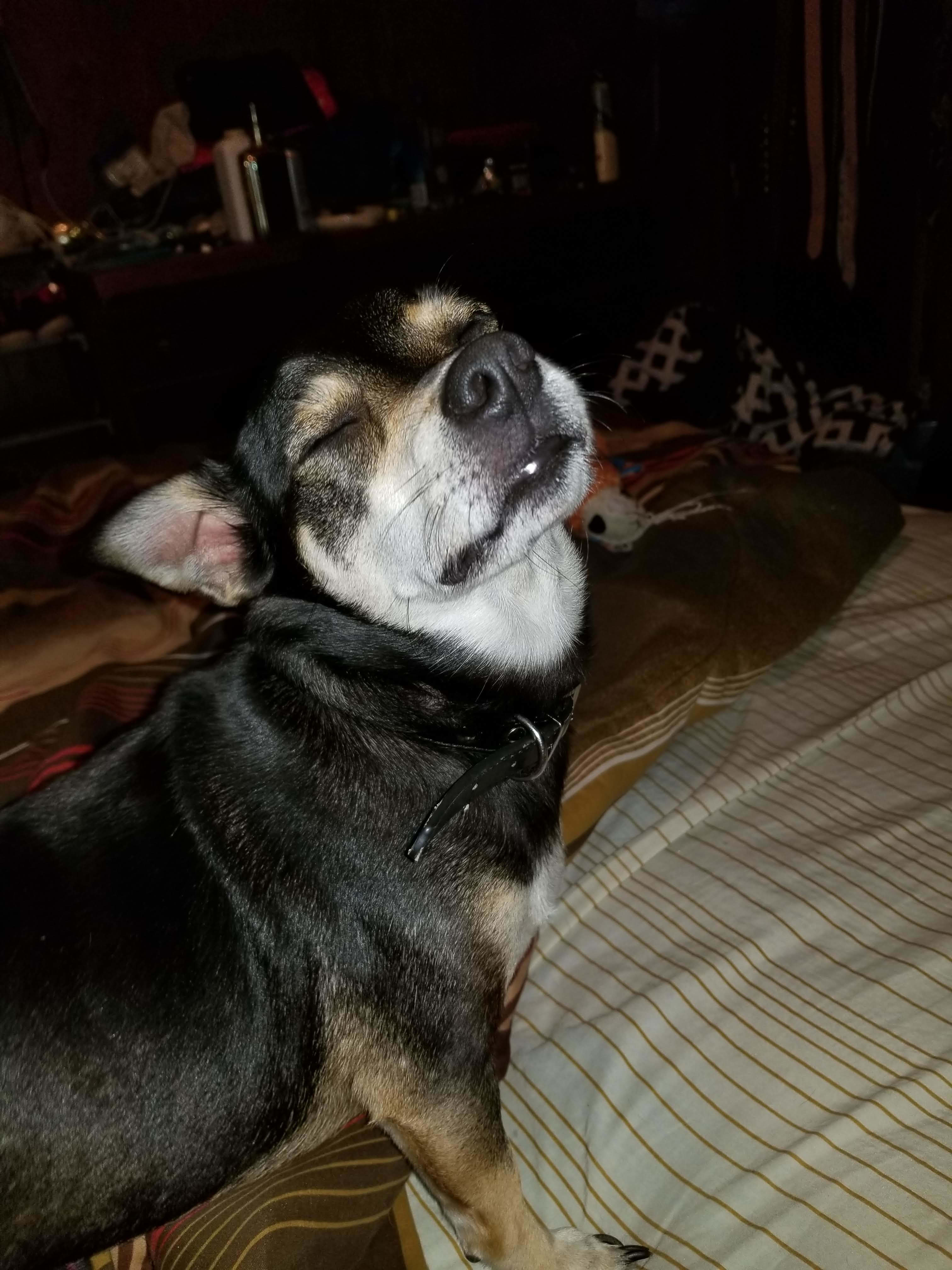 Quincy RIP Quincy RIP