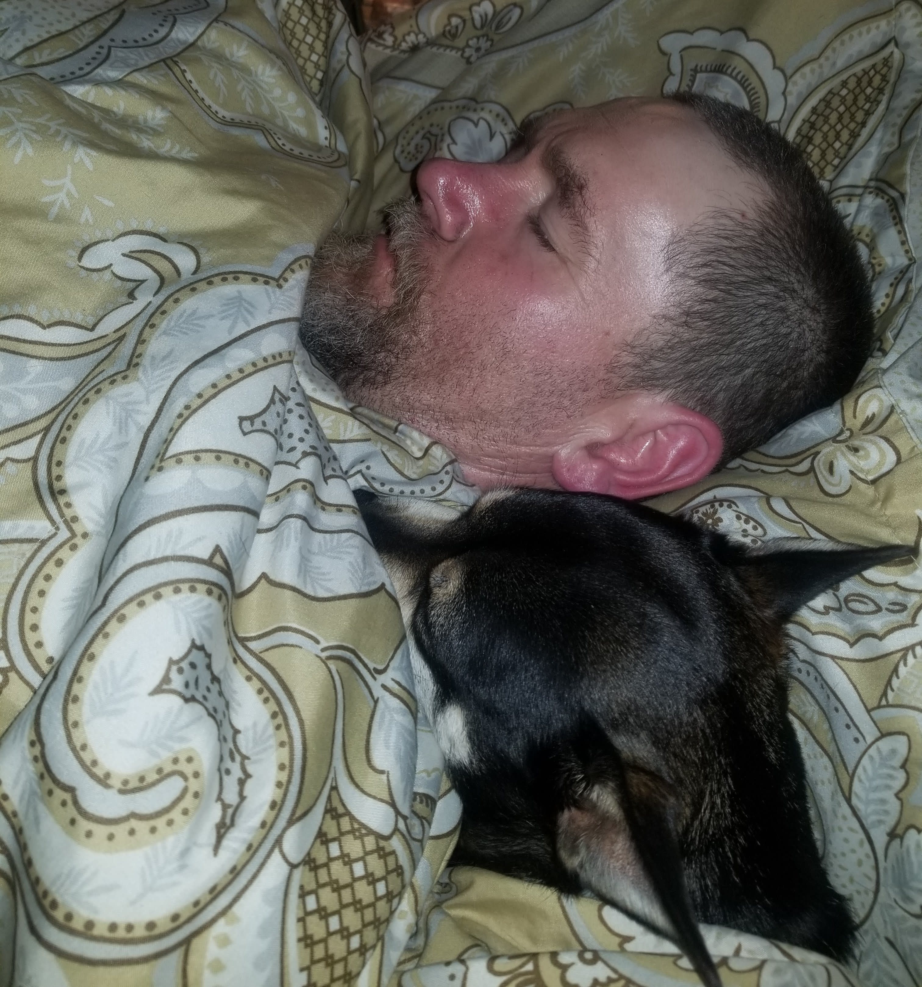 Quincy RIP Quincy RIP